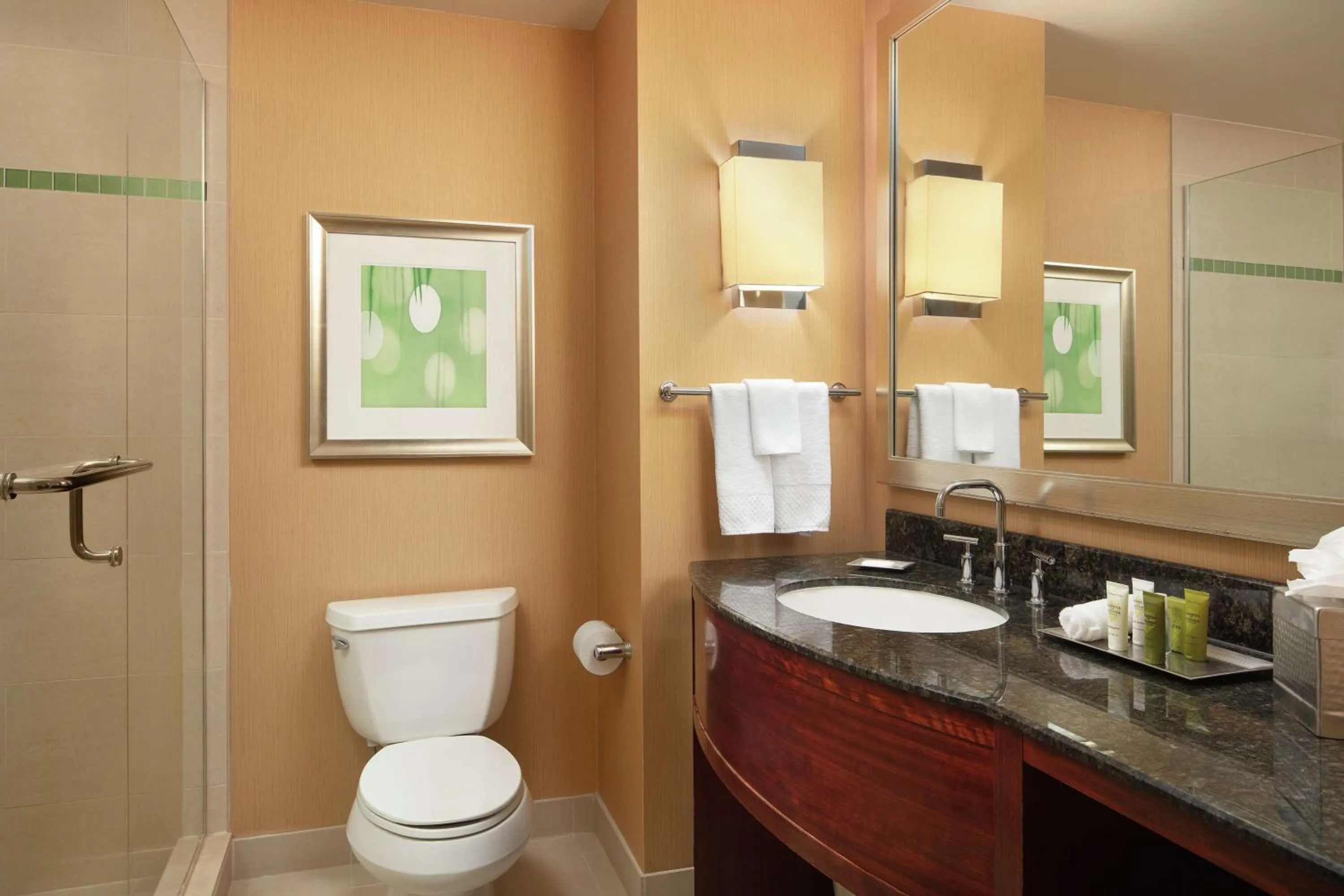 Bathroom in Hilton Orlando