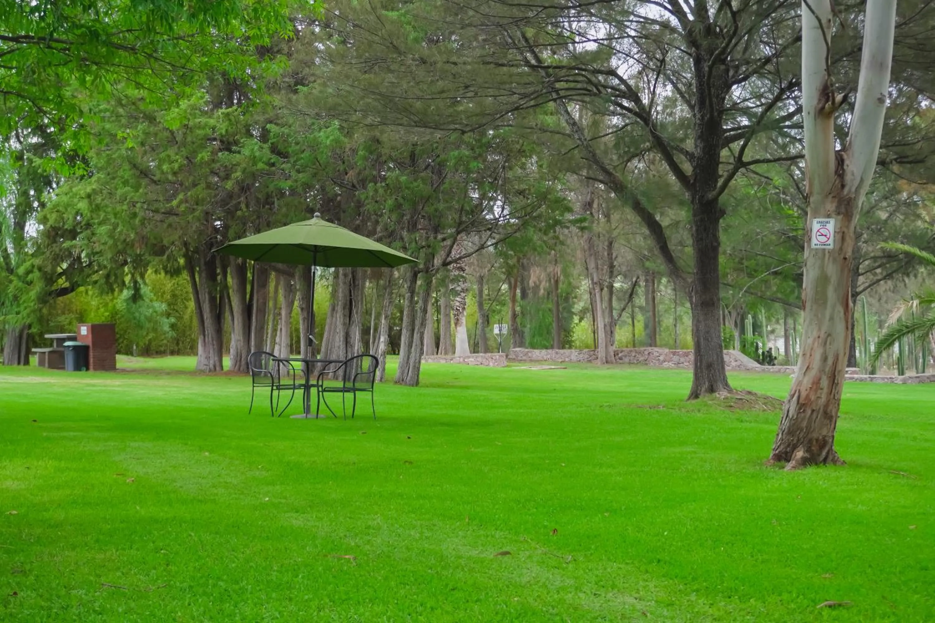 Garden in Hotel RV Park San Ramón