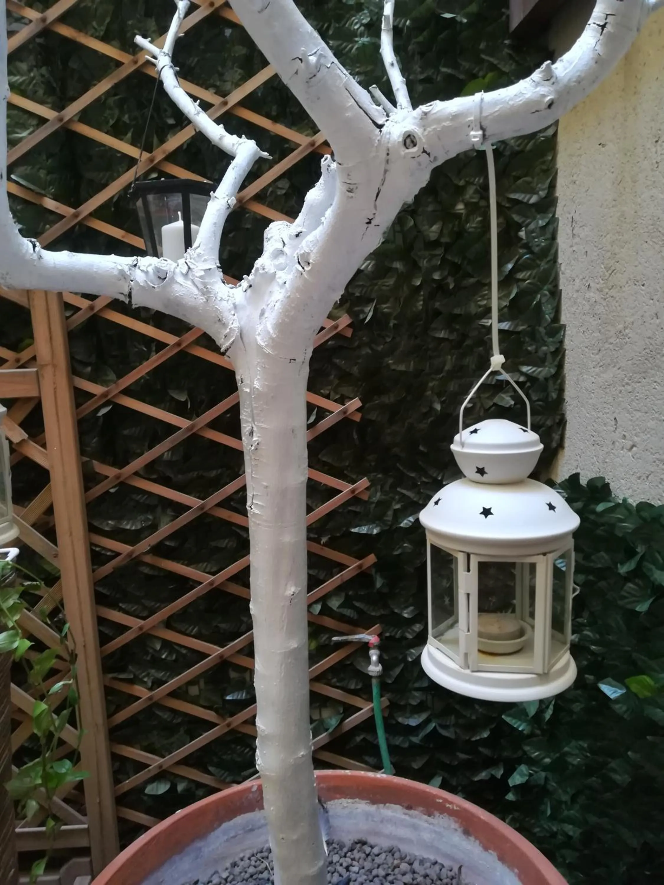 Patio in Relais Palazzo Taverna