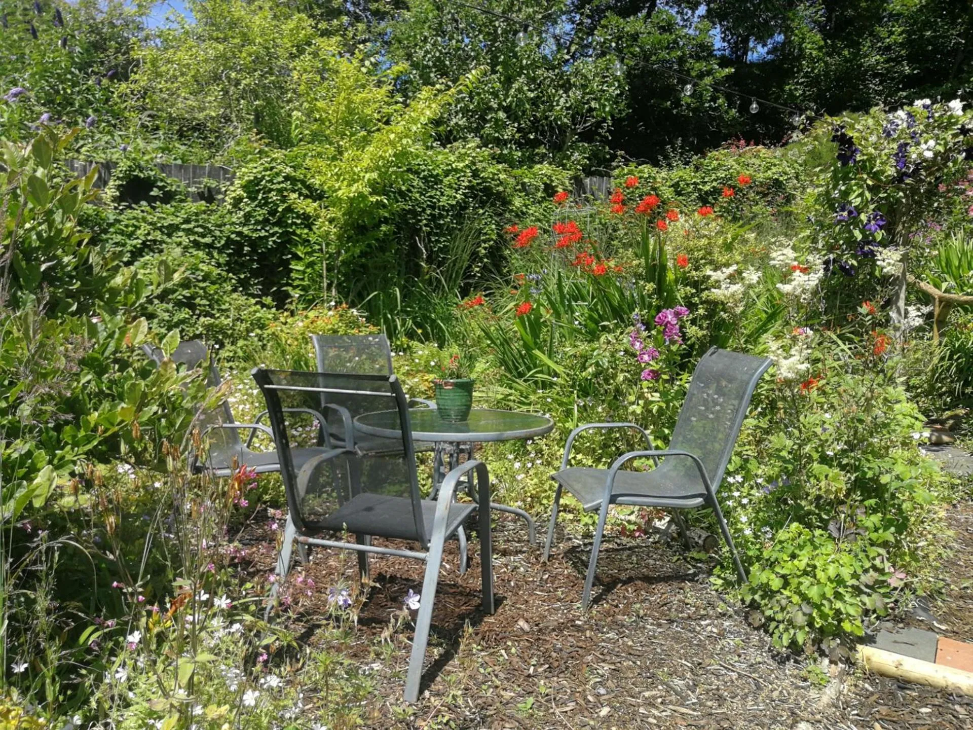 Garden in Yr Hen Farcdy