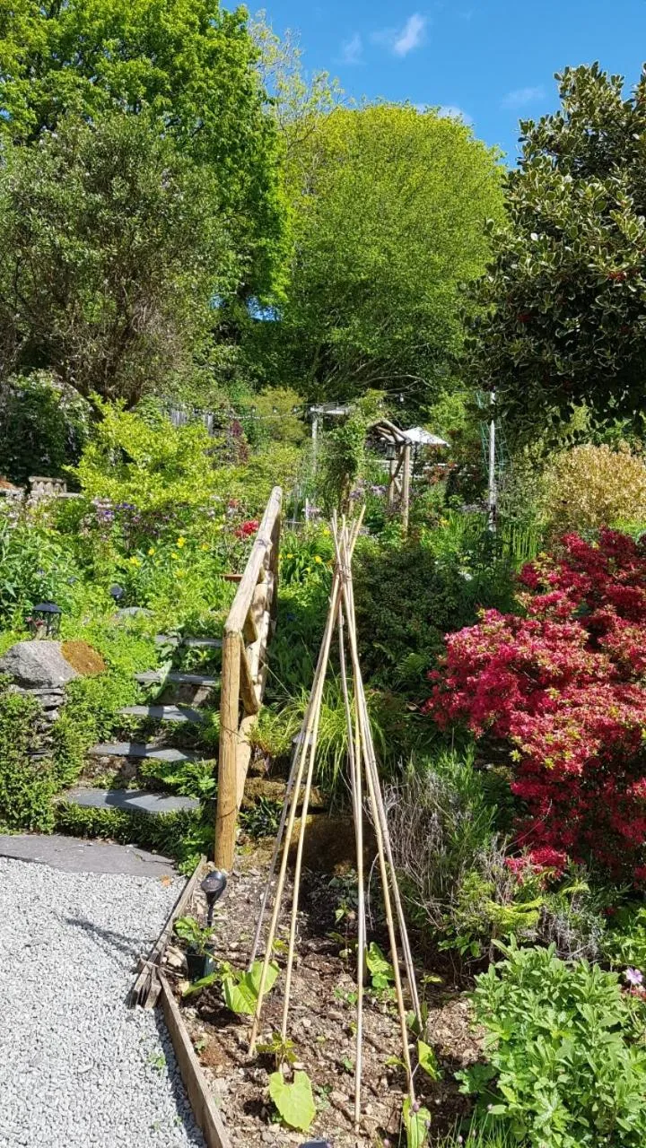 Garden in Yr Hen Farcdy