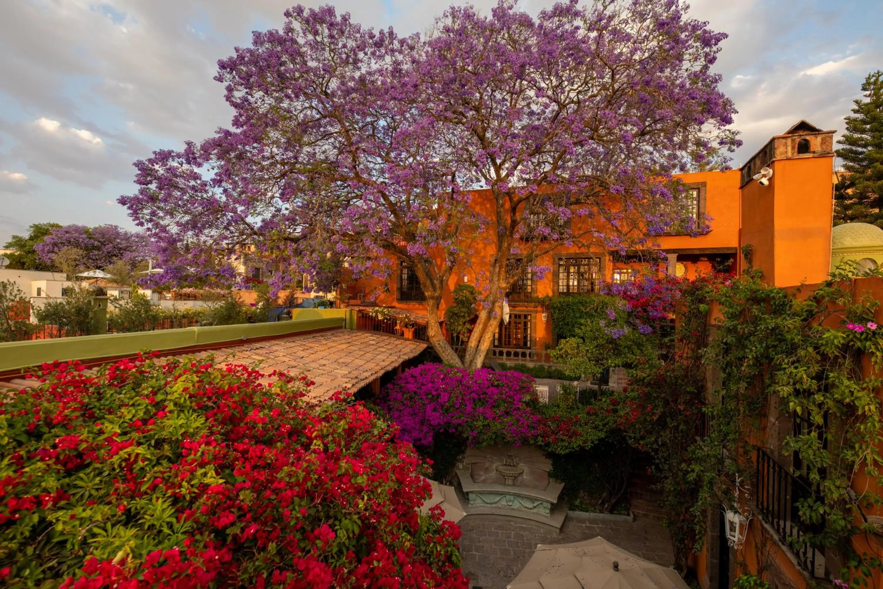 Spring in Casa Schuck Boutique Hotel