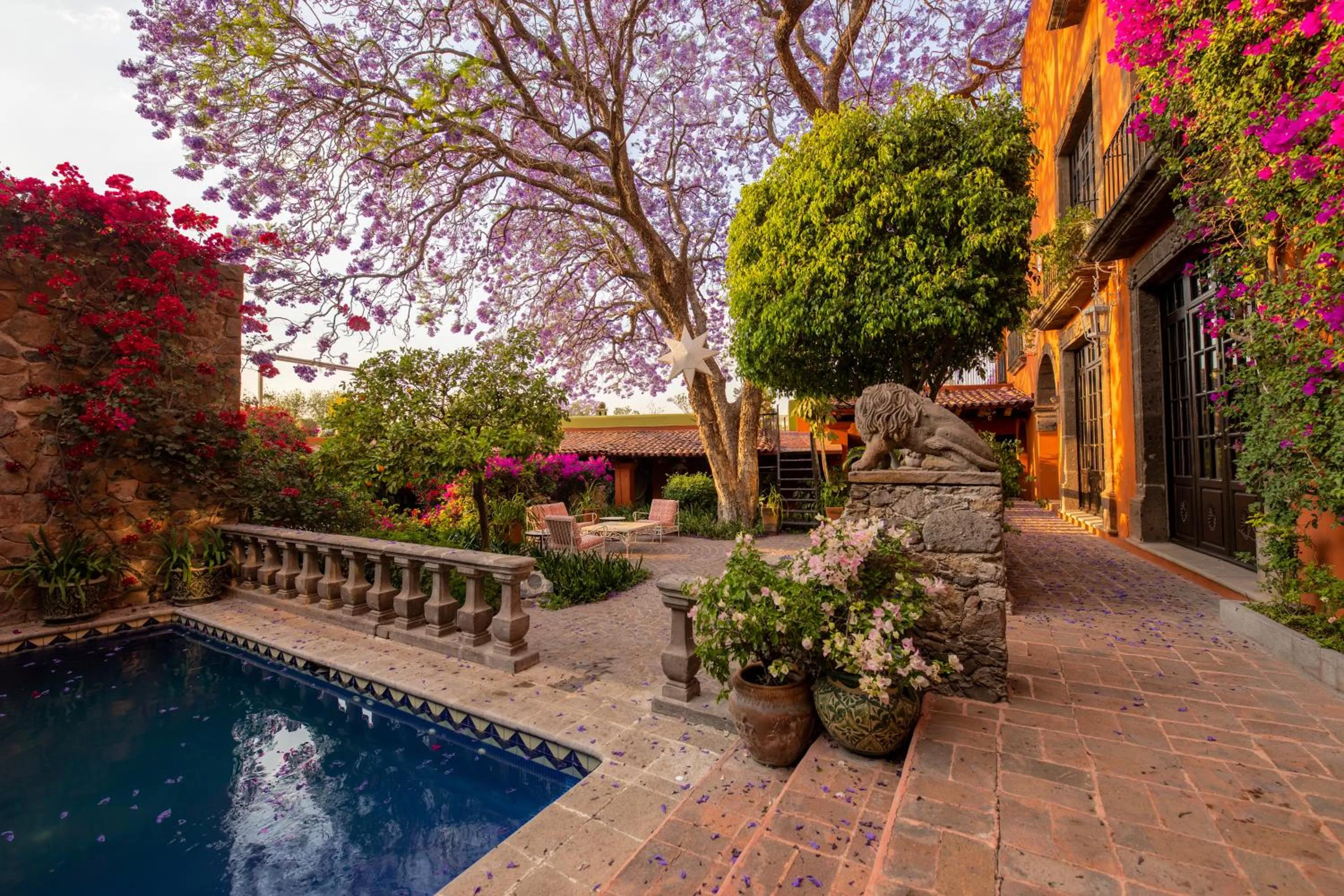 Garden view in Casa Schuck Boutique Hotel