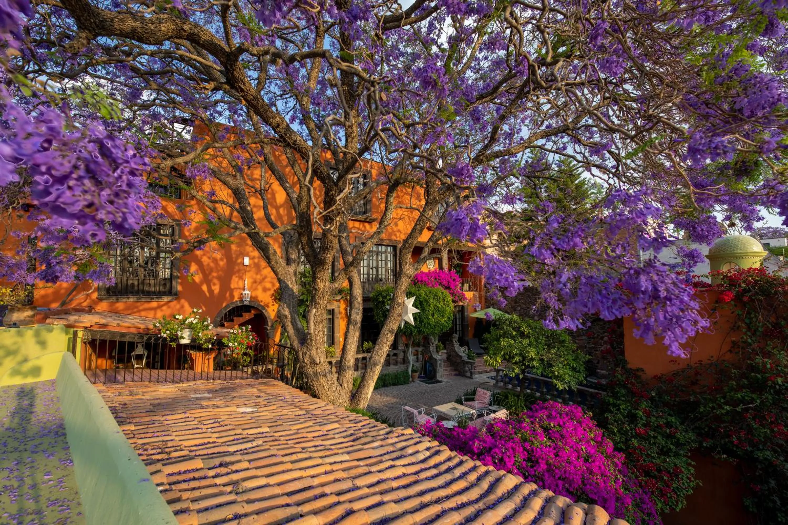 Spring in Casa Schuck Boutique Hotel