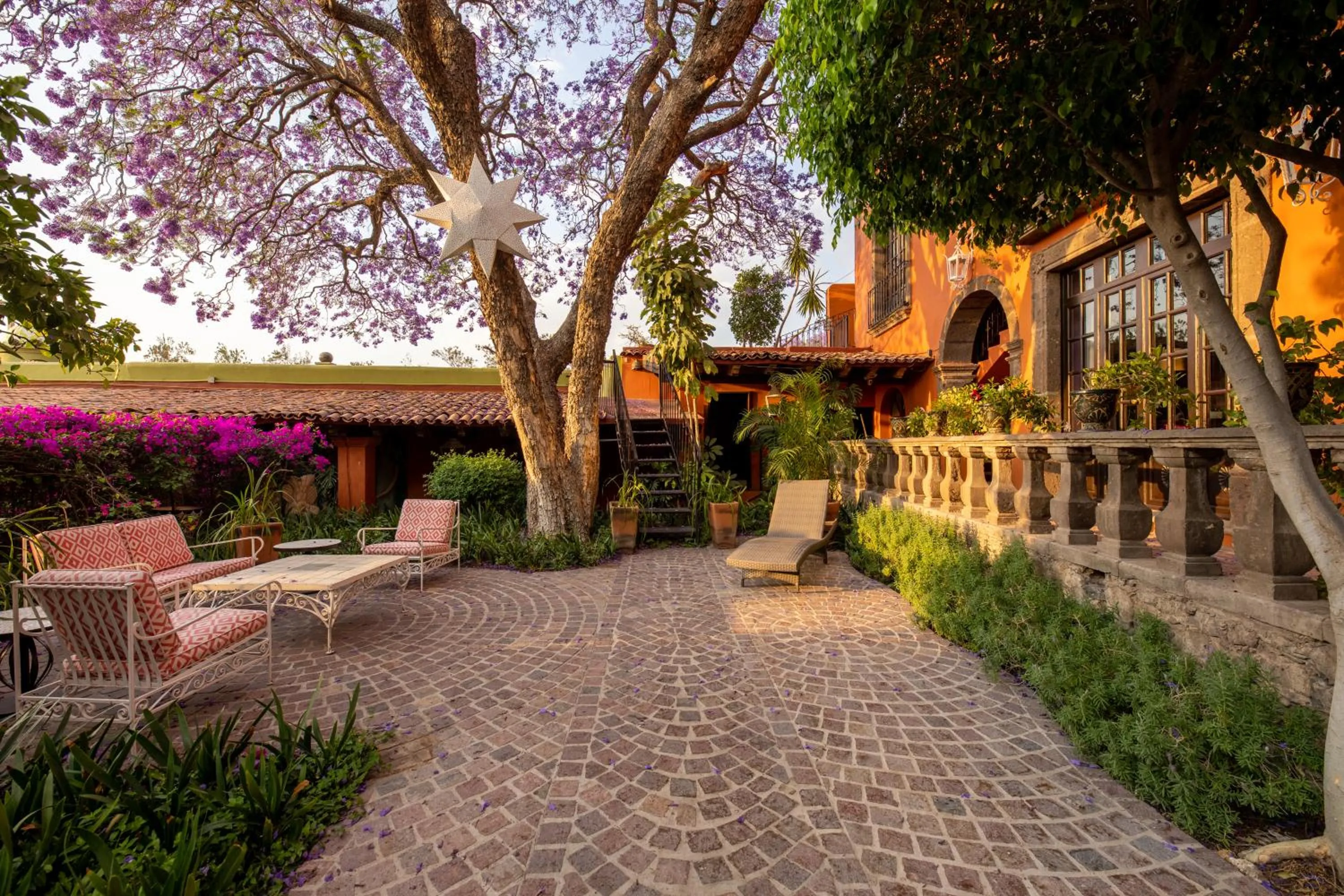 Garden view in Casa Schuck Boutique Hotel