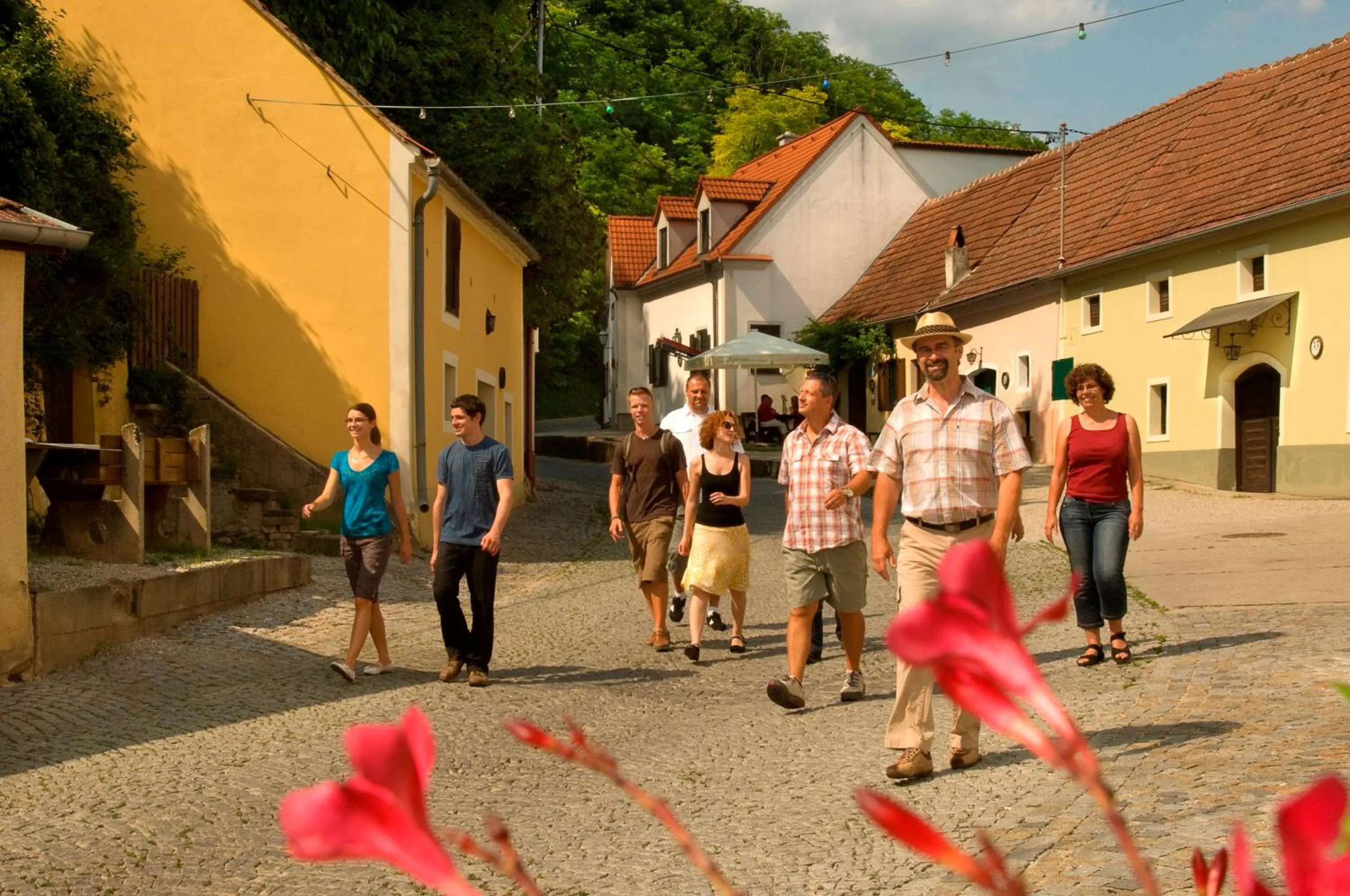 Hiking in Gästehaus Krappel