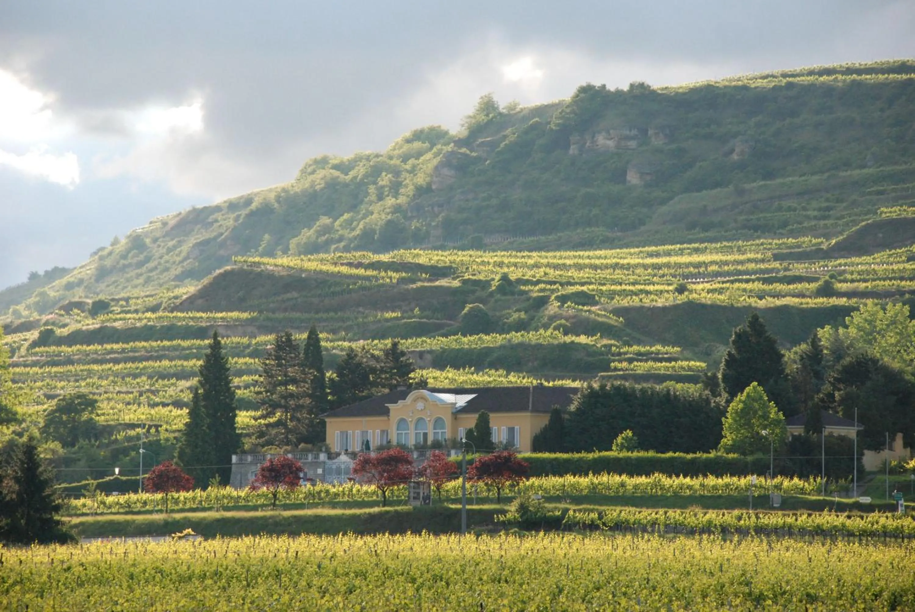 Natural landscape in Gästehaus Krappel