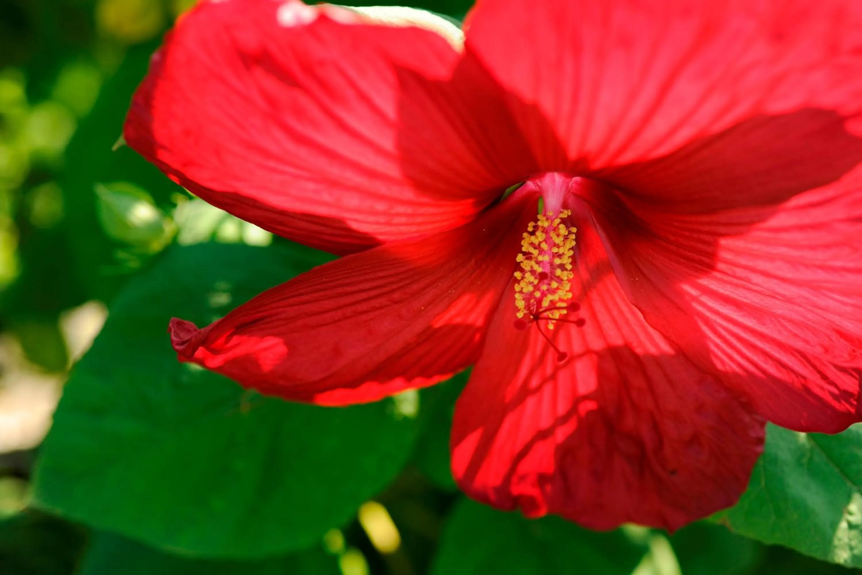 Other in Gästehaus Krappel