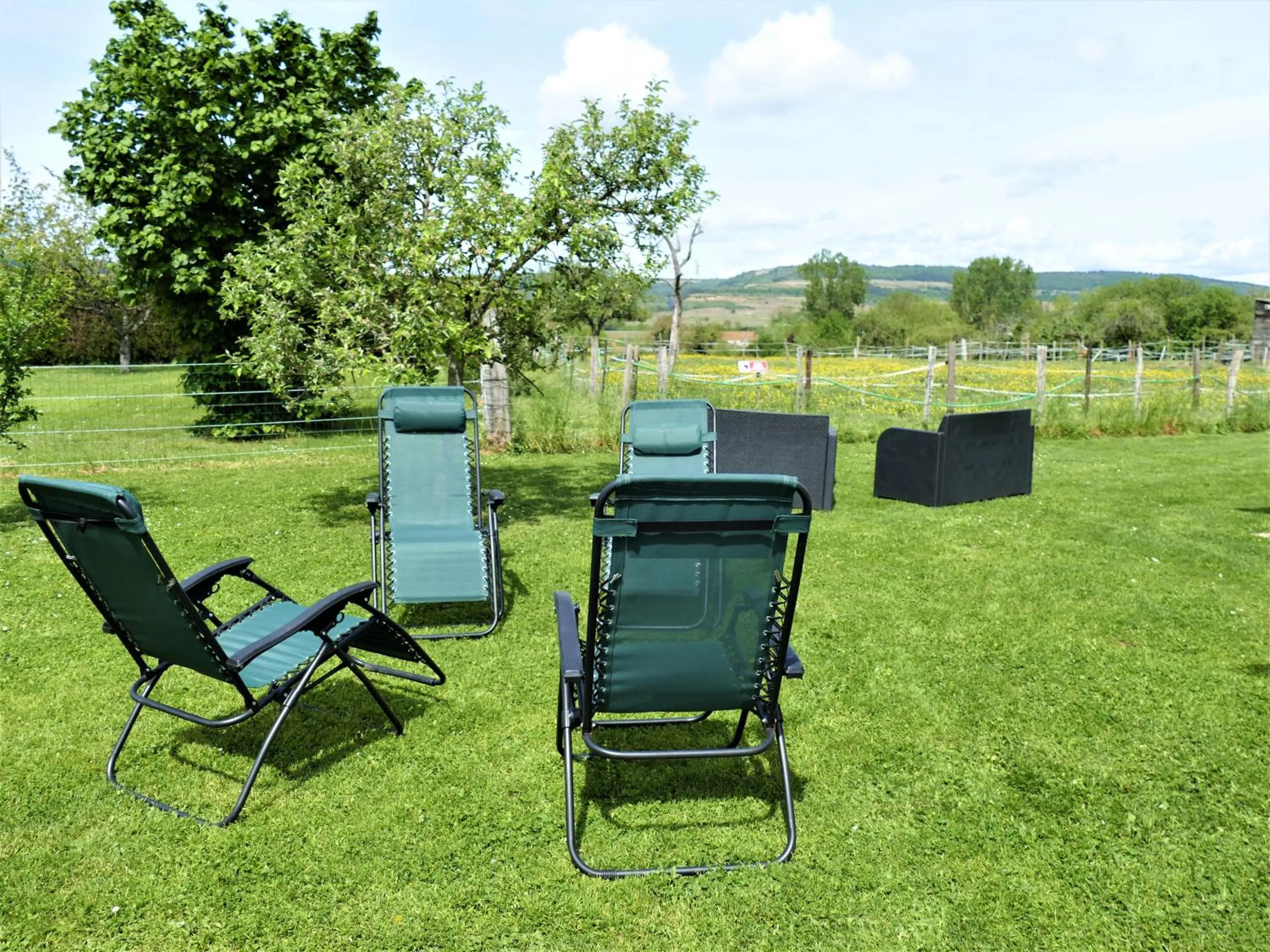 Garden in Les Grands Crus - gîte "Meursault"