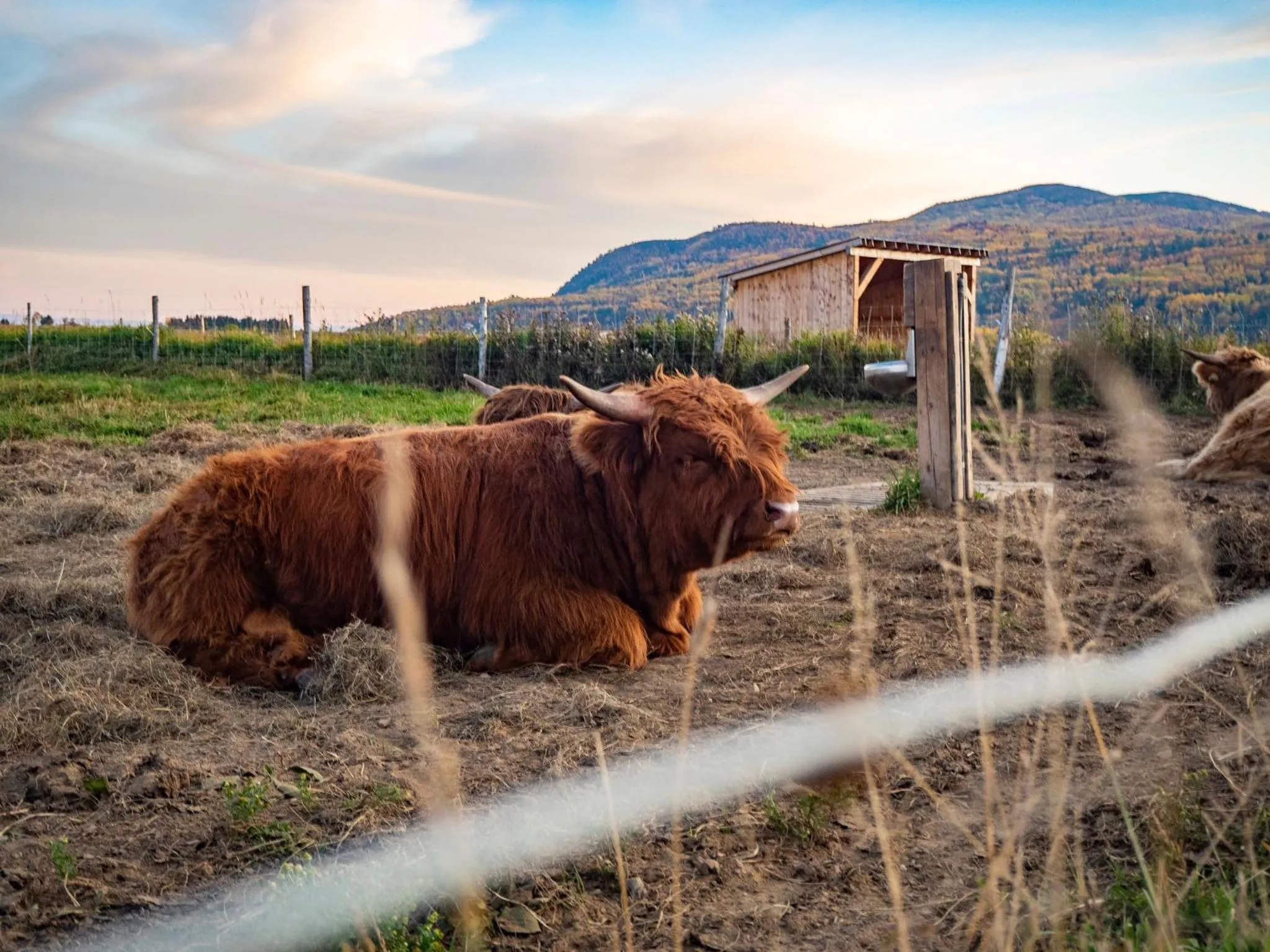 Hôtel & Spa Le Germain Charlevoix
