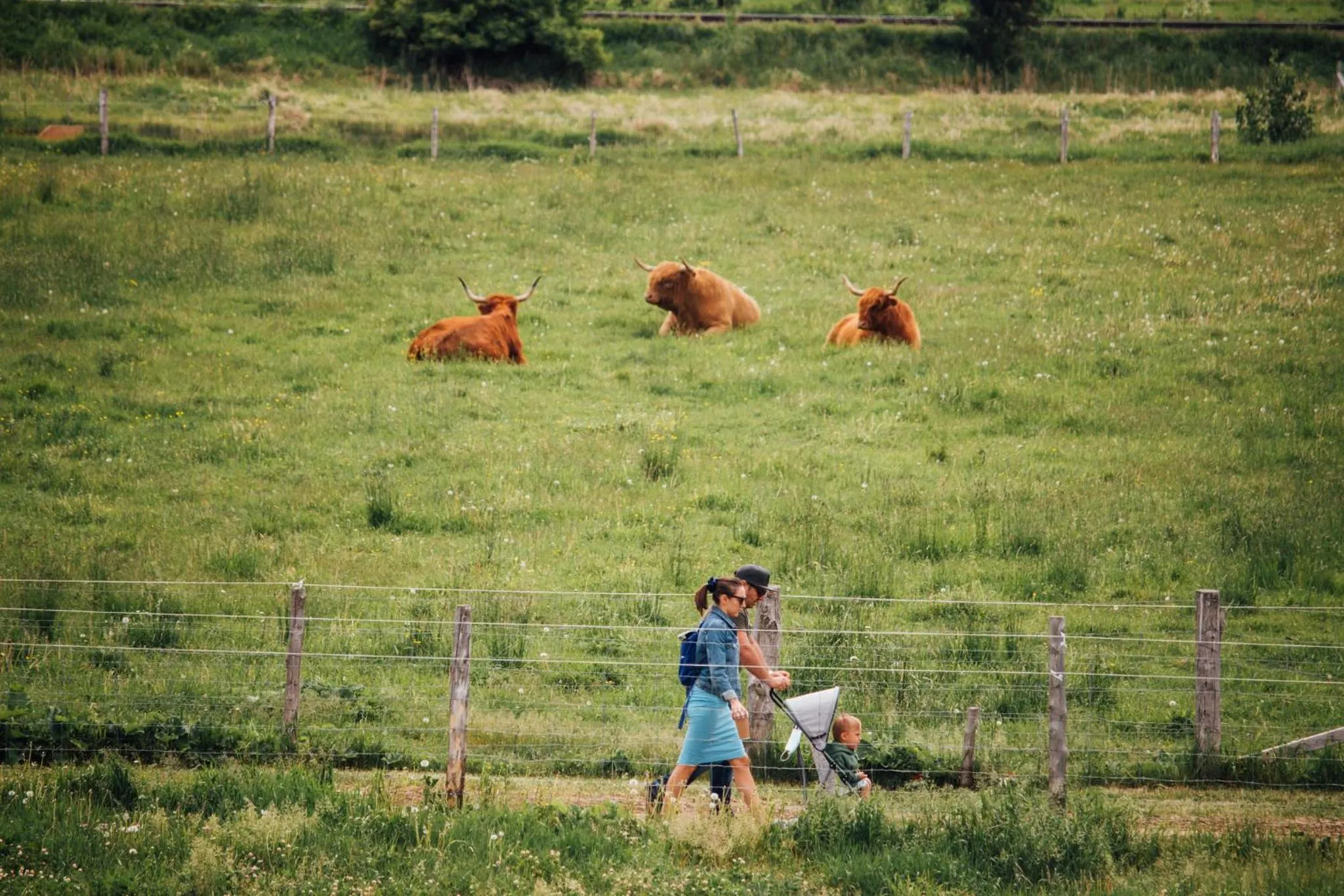 Animals in Hôtel & Spa Le Germain Charlevoix