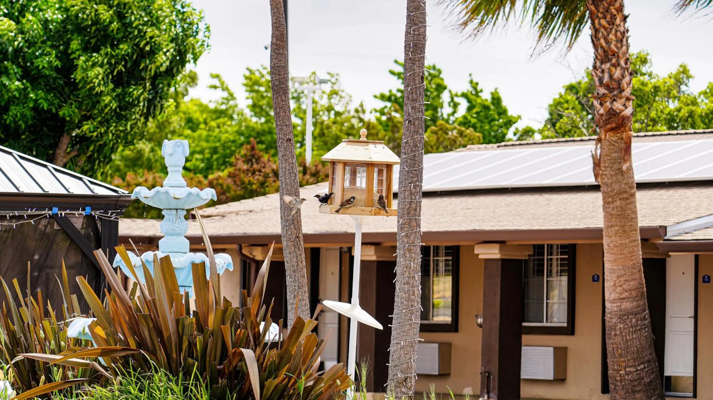 Americas Best Value Inn, Antioch