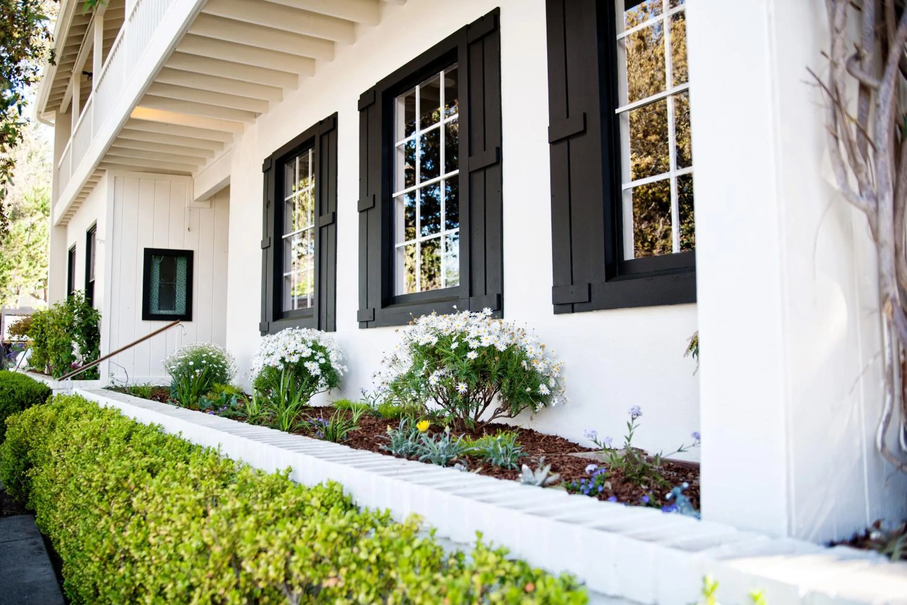 Property building in Hotel Carmel