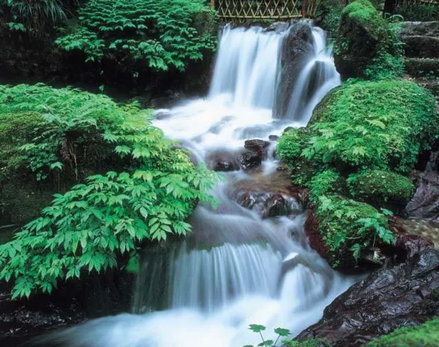 Nearby landmark in Suigekka