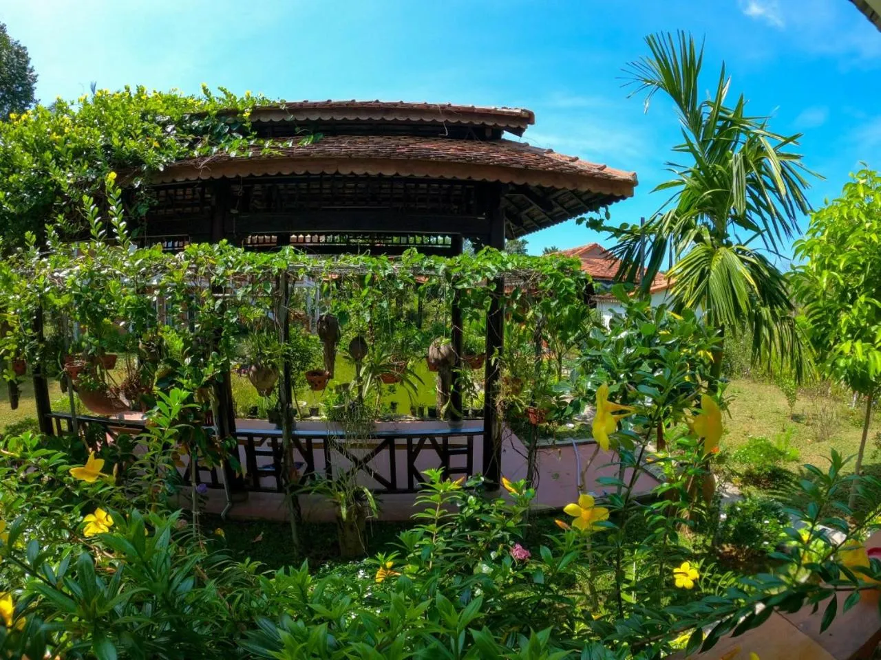 Garden in Phu Quoc Areca Garden Bungalow