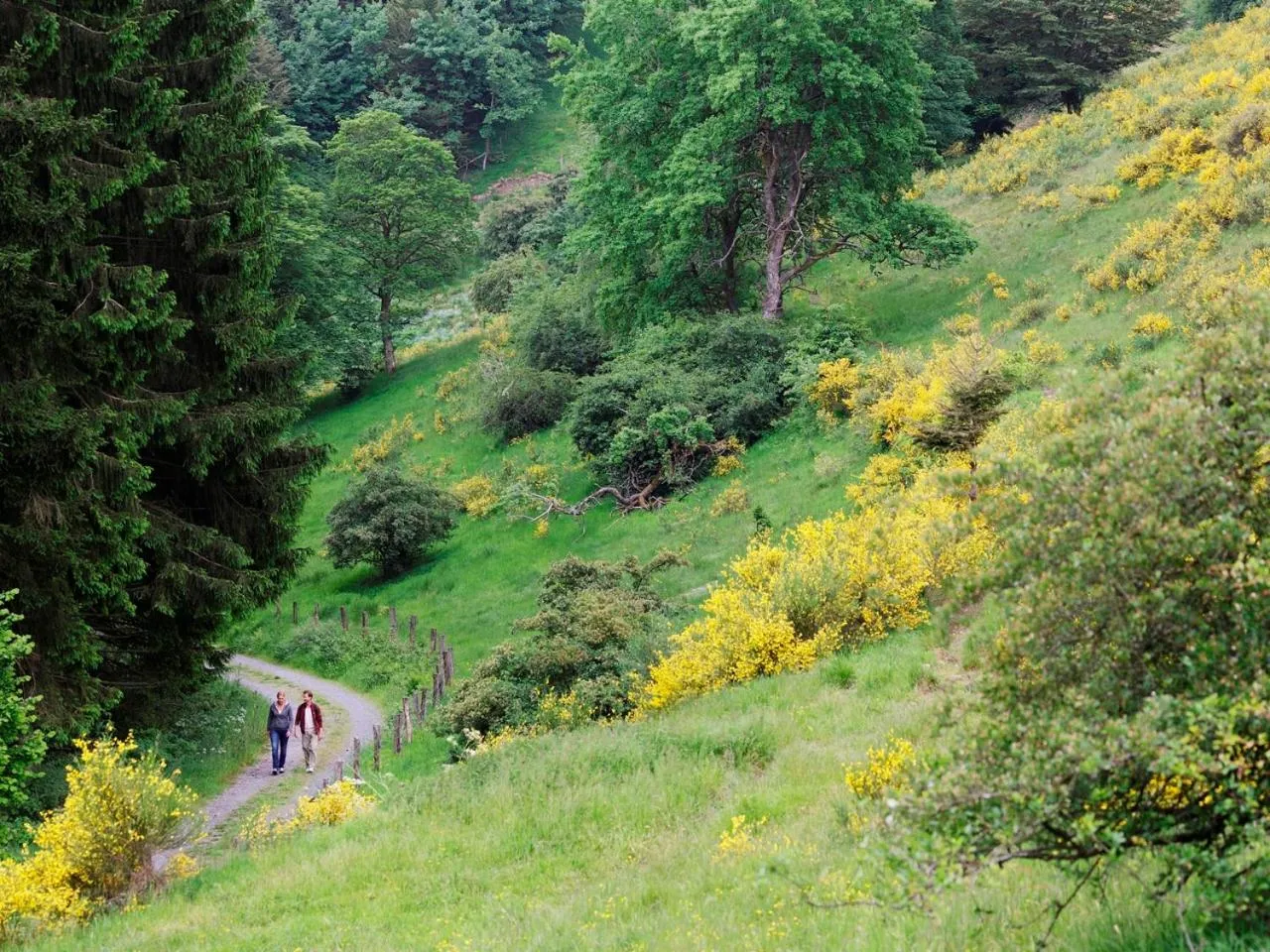 Spring in Hotel Hochsauerland by Center Parcs