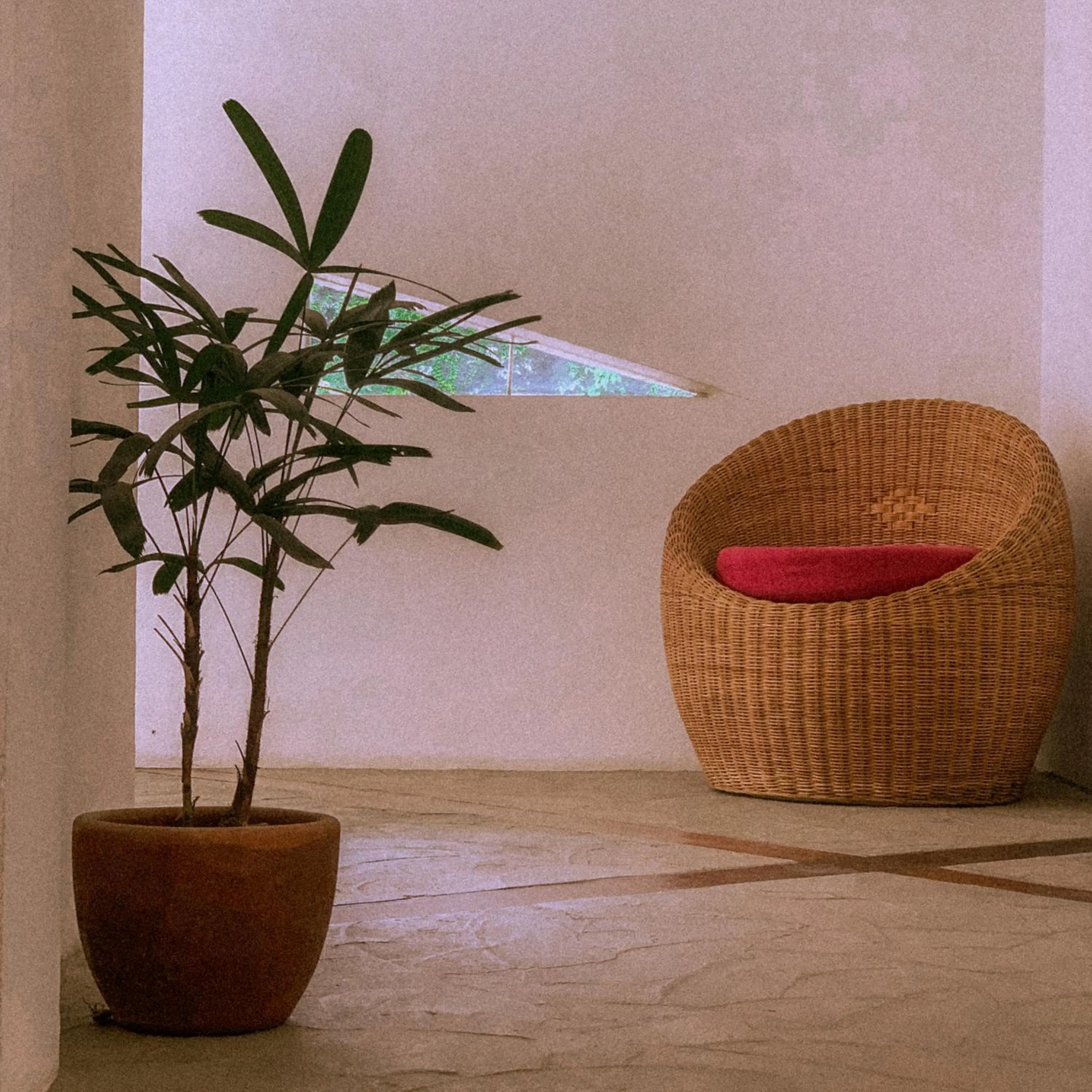 View (from property/room) in El Nido Moringa Resort