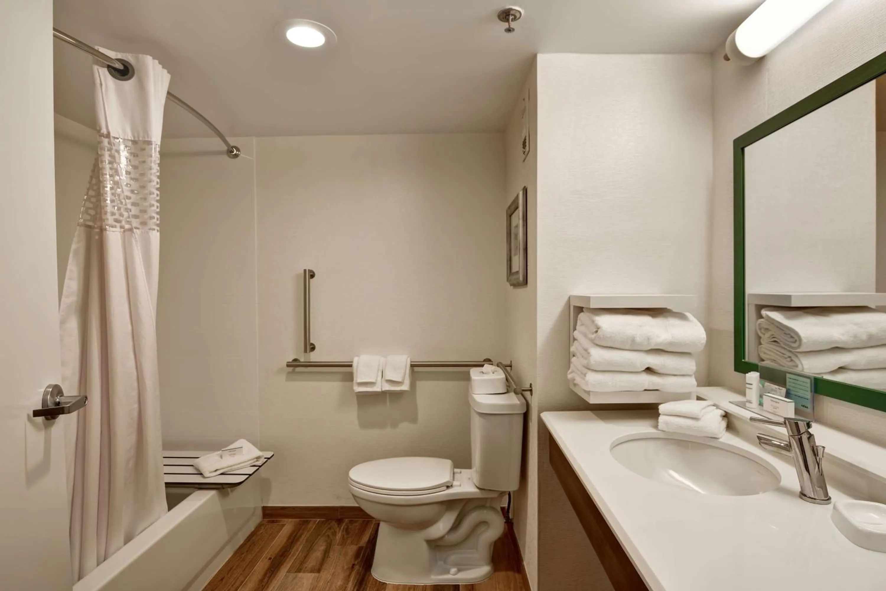 Bathroom in Hampton Inn Albany-Wolf Road