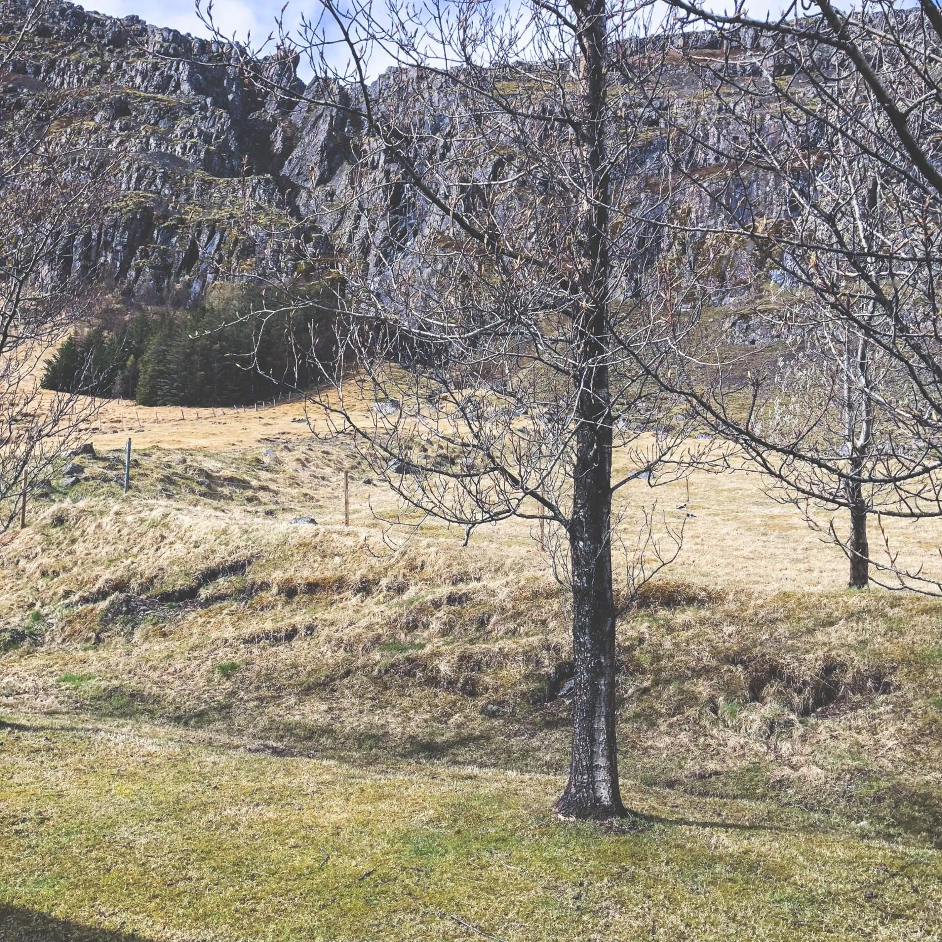 Natural landscape in Guesthouse Skálafell