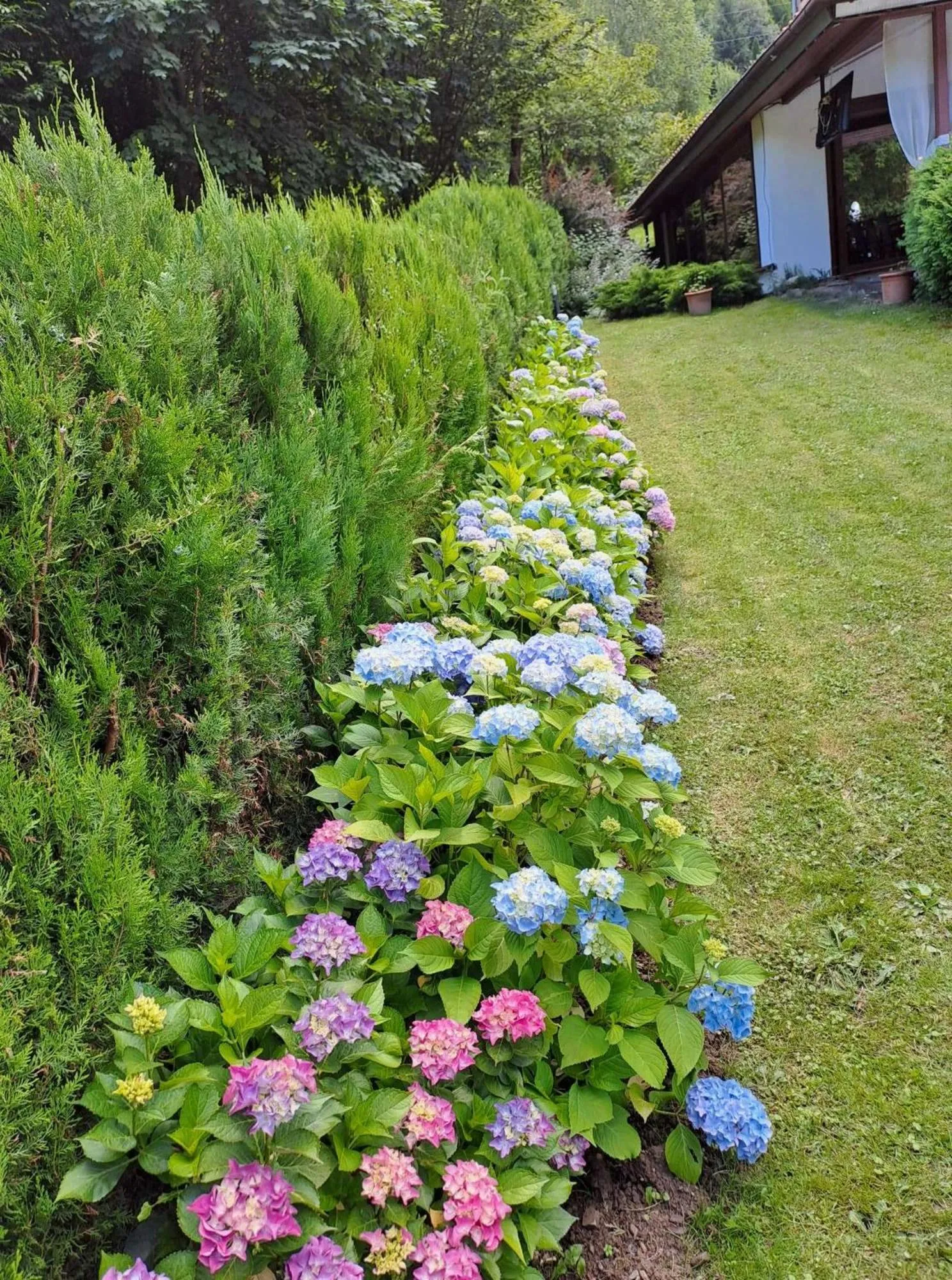 Garden in Park Hotel Fairy