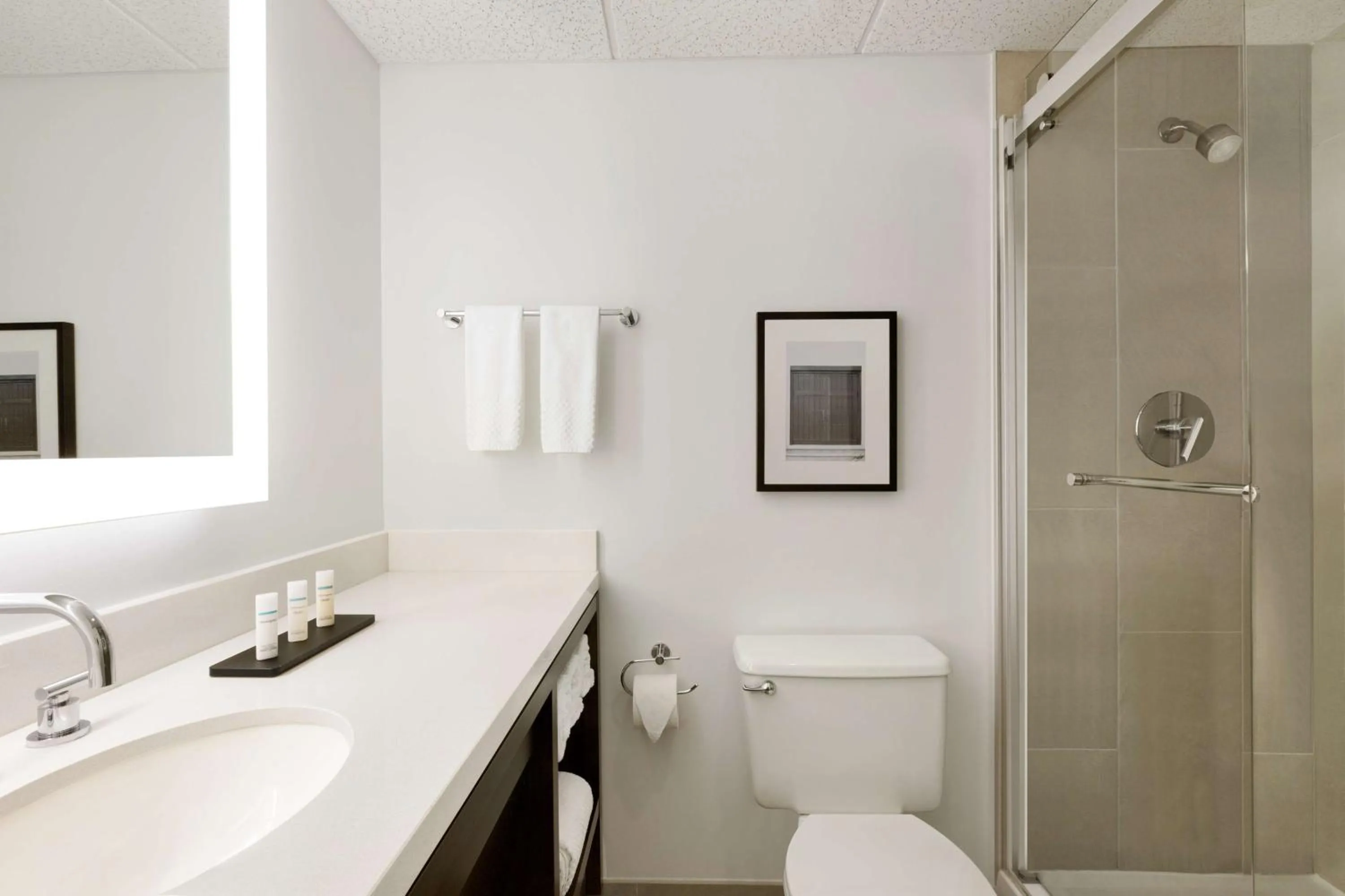 Bathroom in Embassy Suites Boca Raton