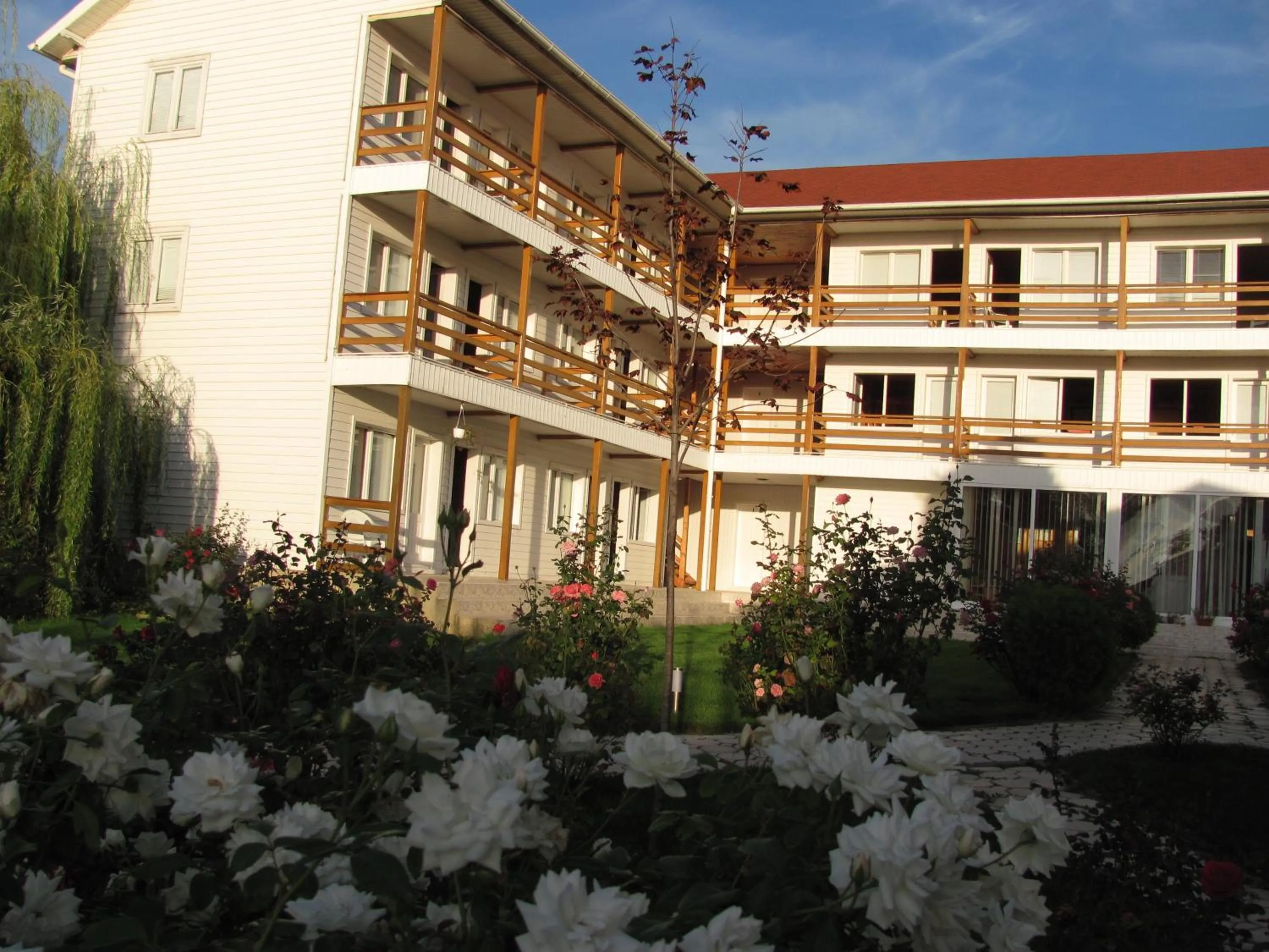 Property building in Hostel White Inn