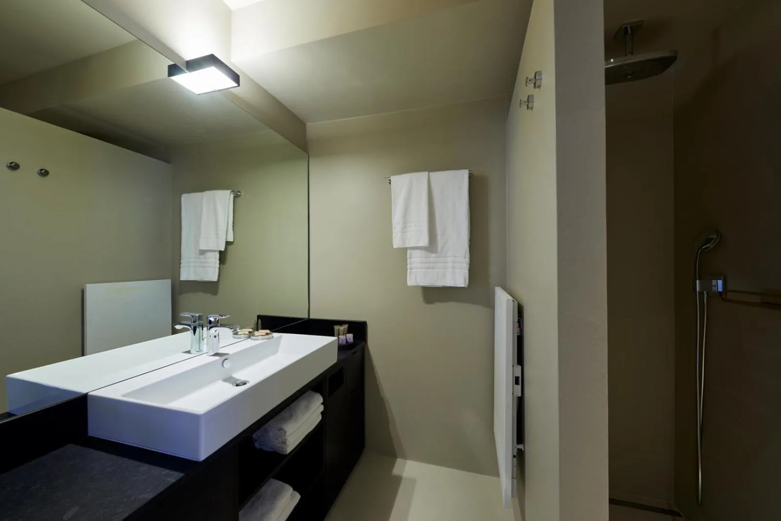 Shower in Delparco Hotel