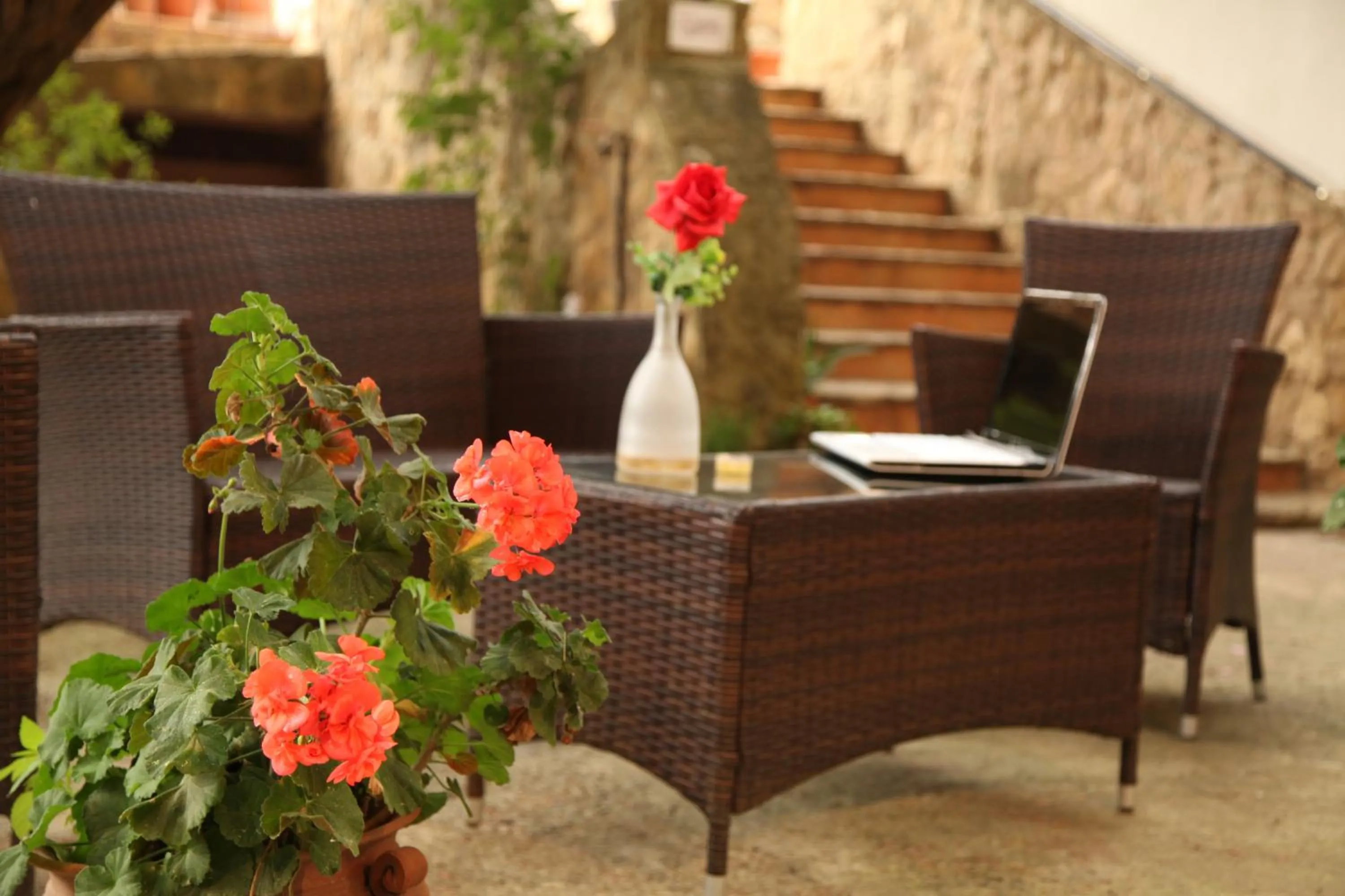 Garden in B&B Villa Casablanca