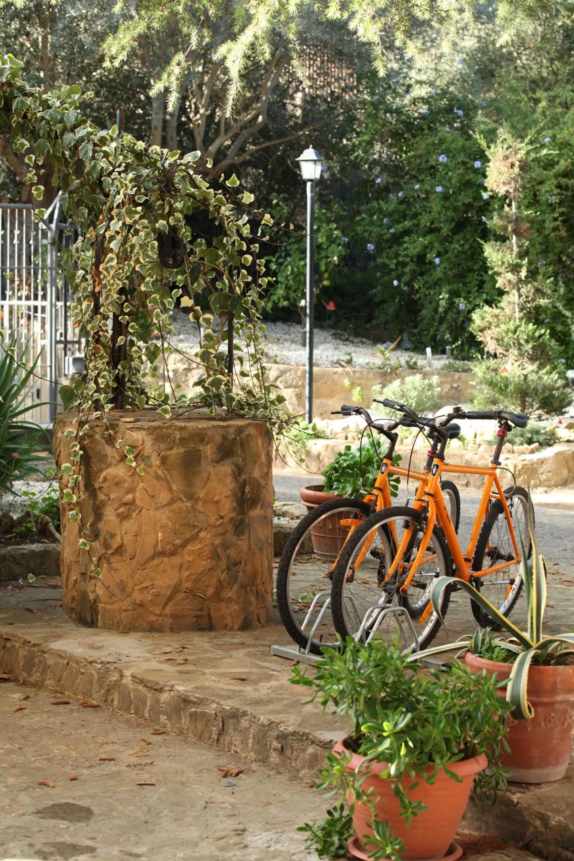 Garden in B&B Villa Casablanca