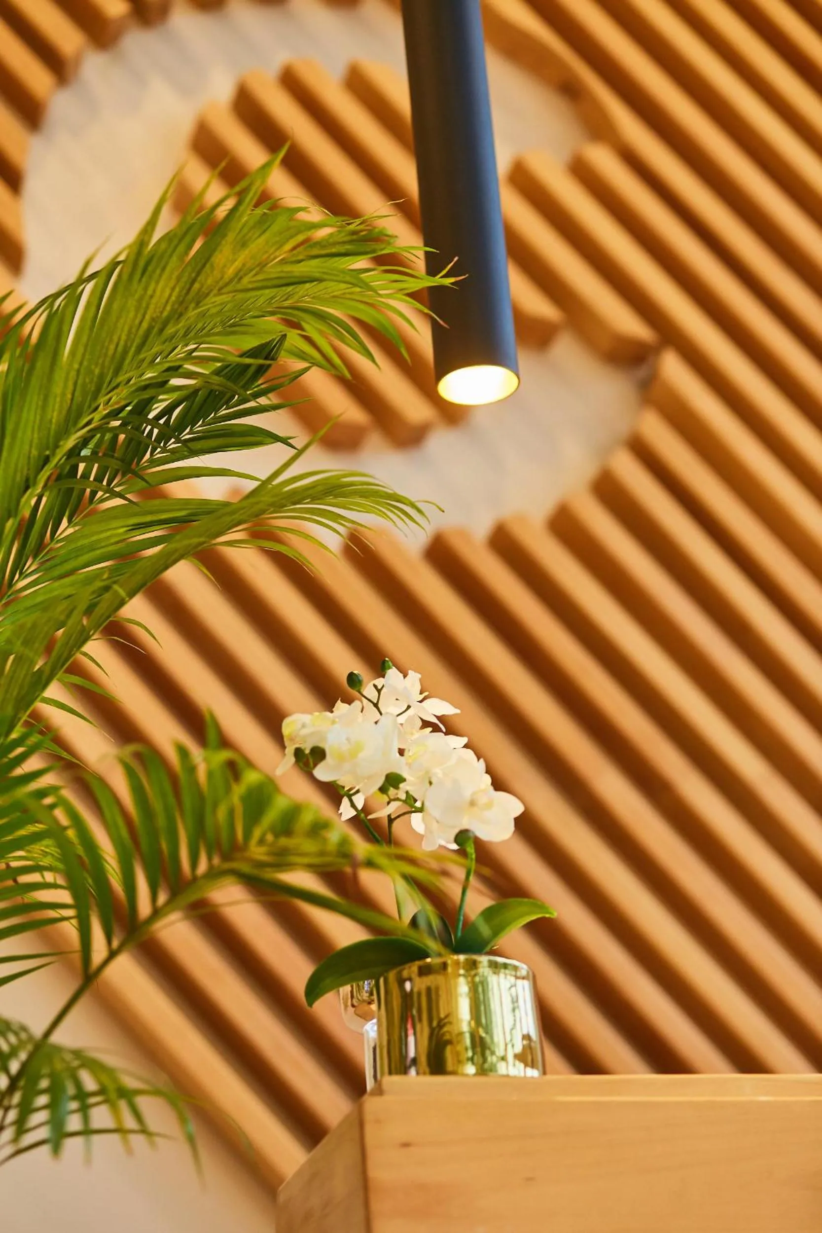 Lobby or reception in The Cabin Hotel