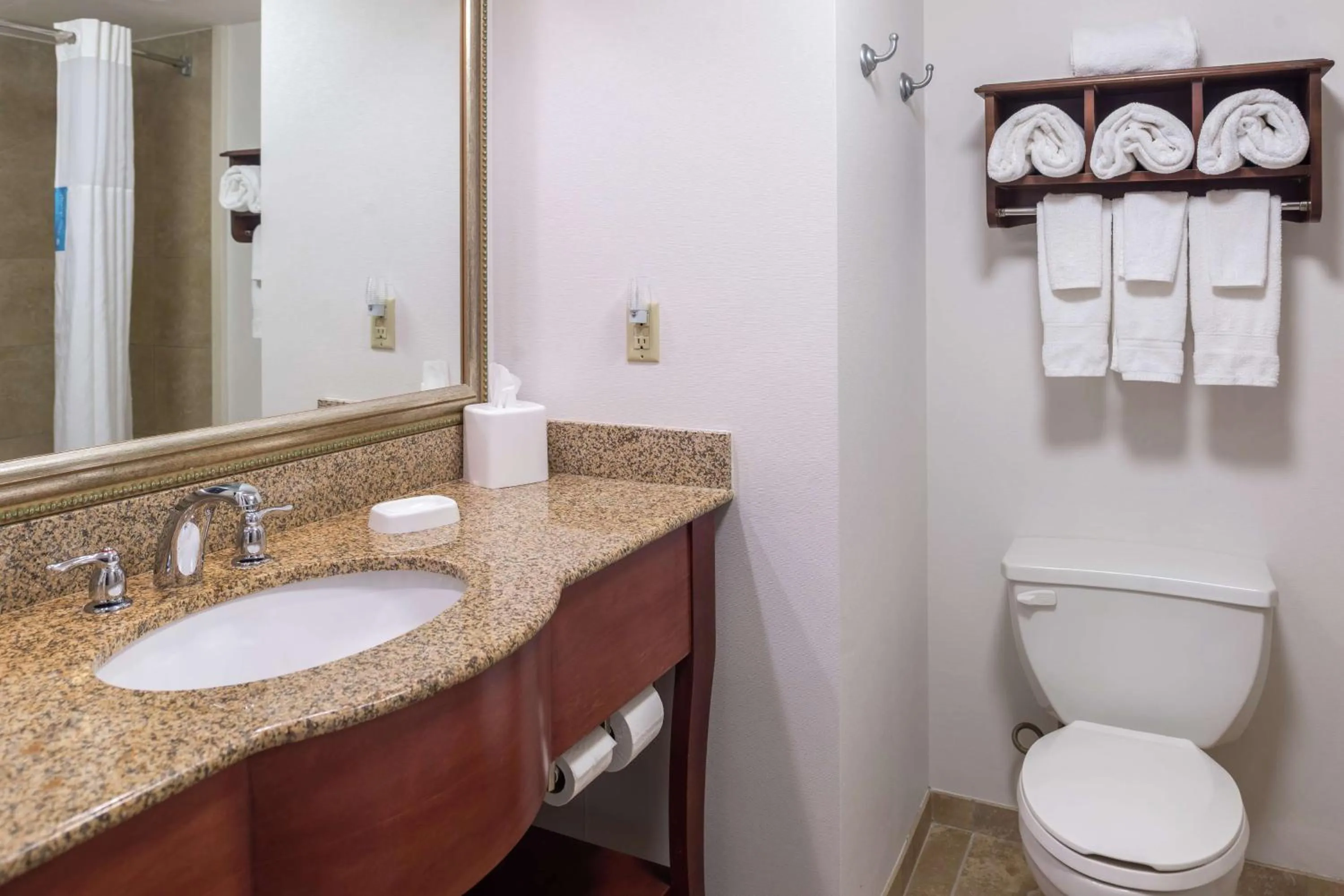 Bathroom in Hampton Inn Columbia Northeast-Fort Jackson Area