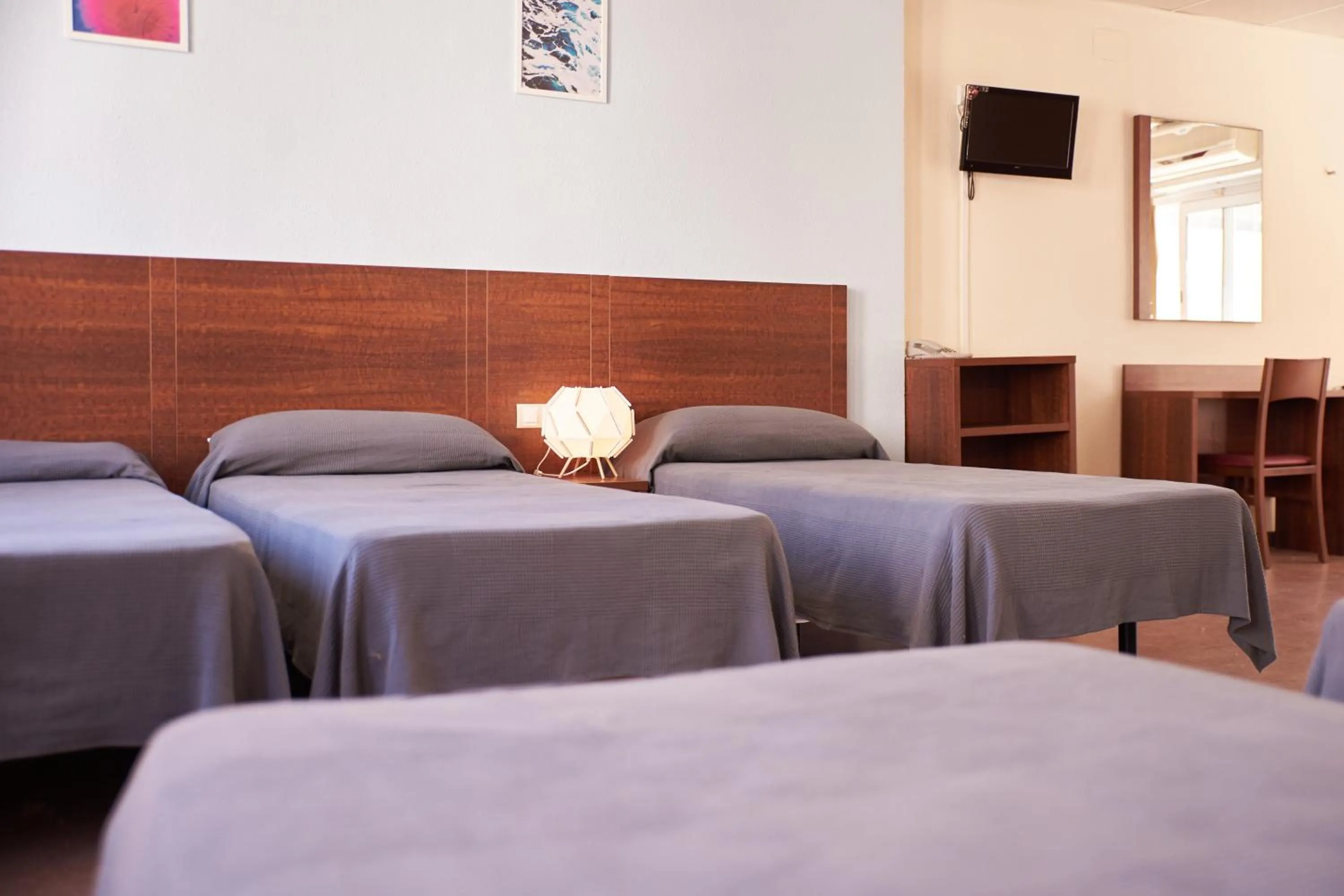 Photo of the whole room in Hotel Caribe