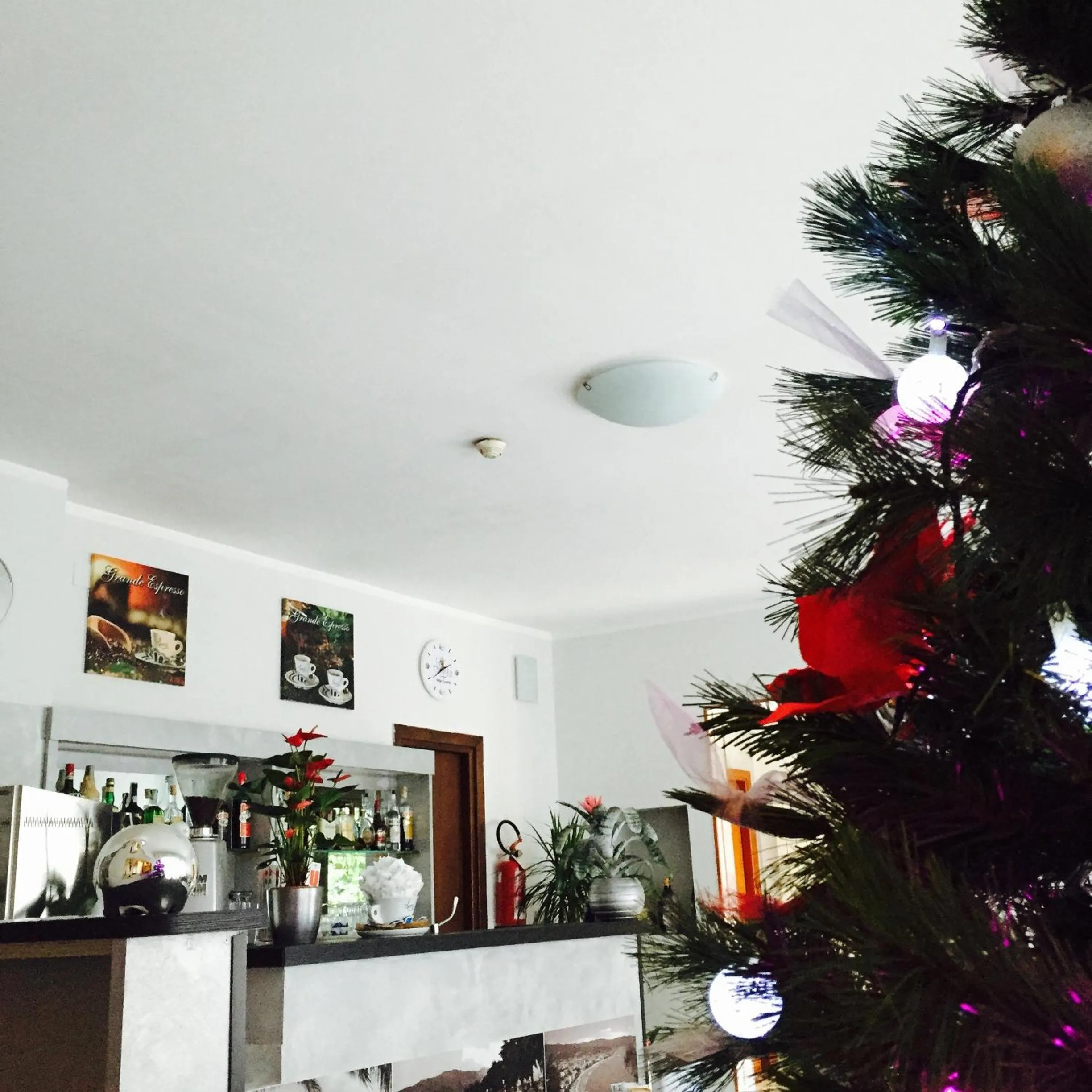 Lounge or bar in Hotel Capri