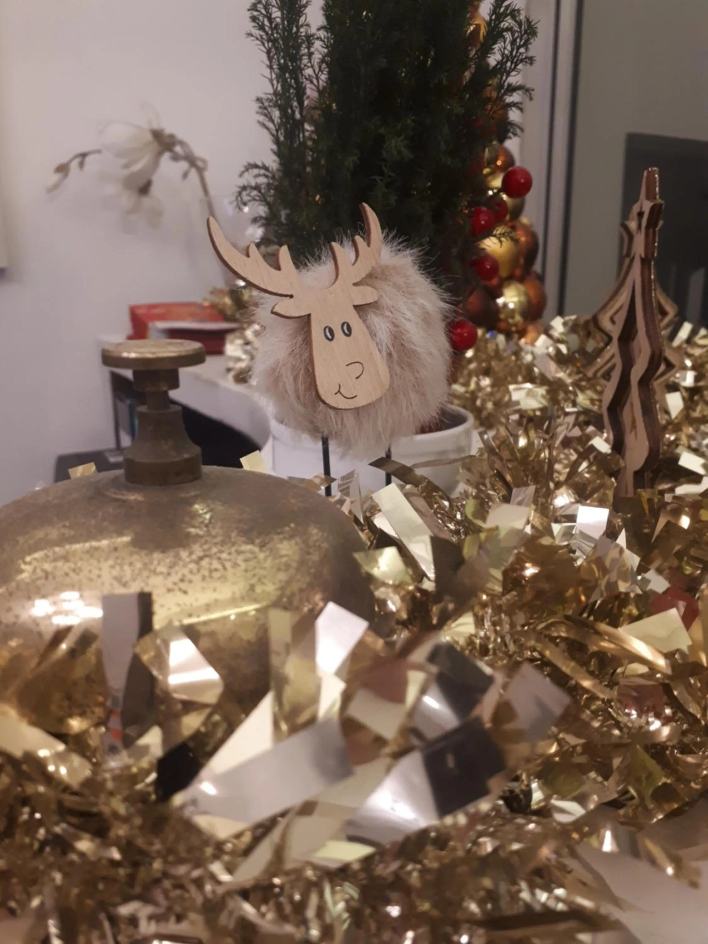 Lobby or reception in Hotel Ferrucci