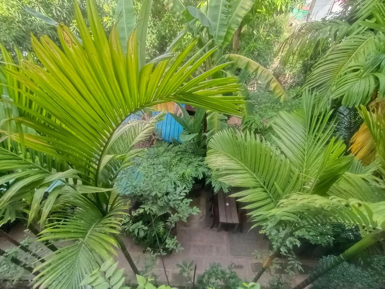 Garden view in Green Stay Village