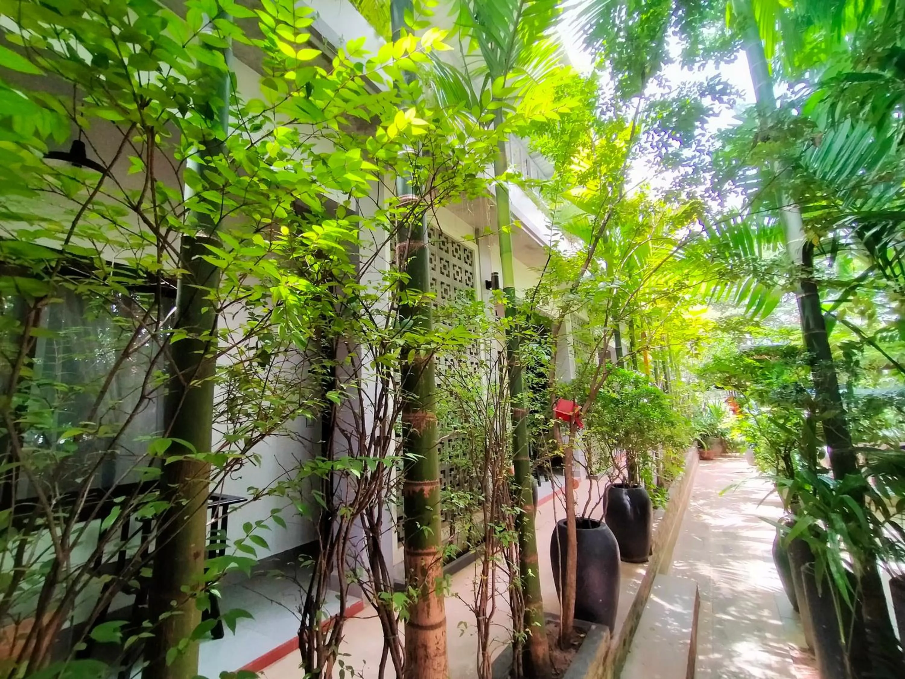 Natural landscape in Green Stay Village