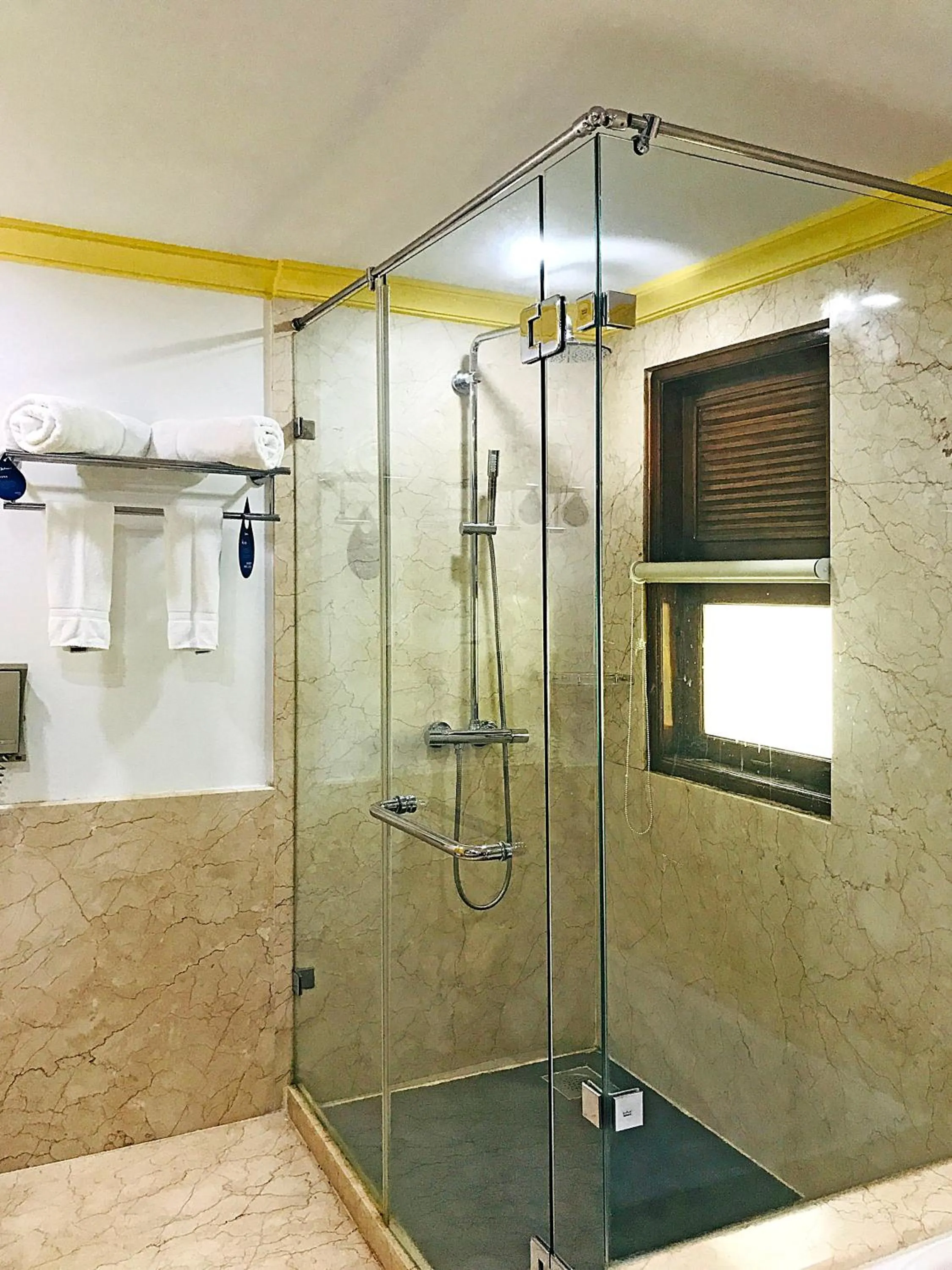 Shower in Radisson Blu Resort, Goa