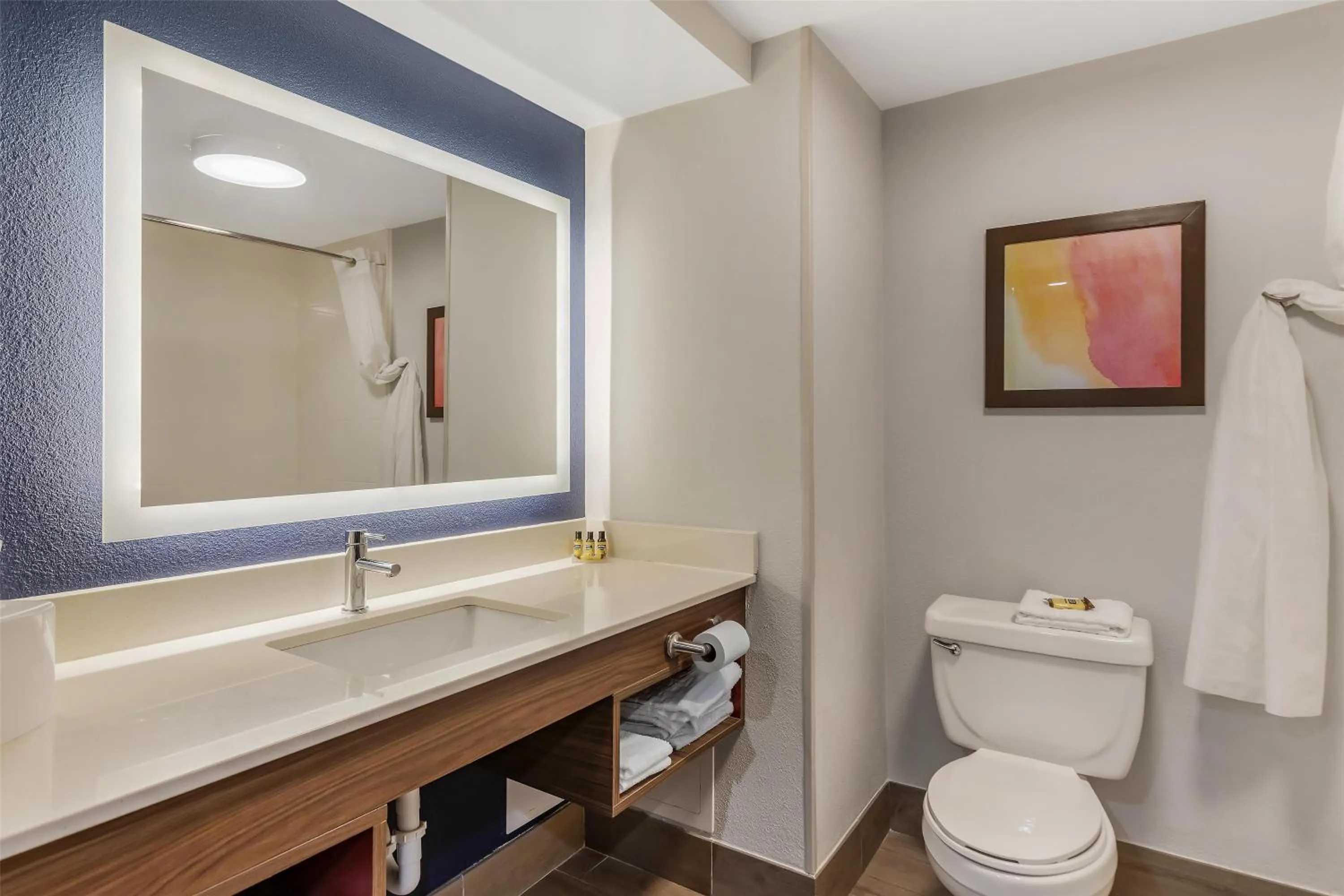 Bathroom in Best Western Plus Lexington Inn