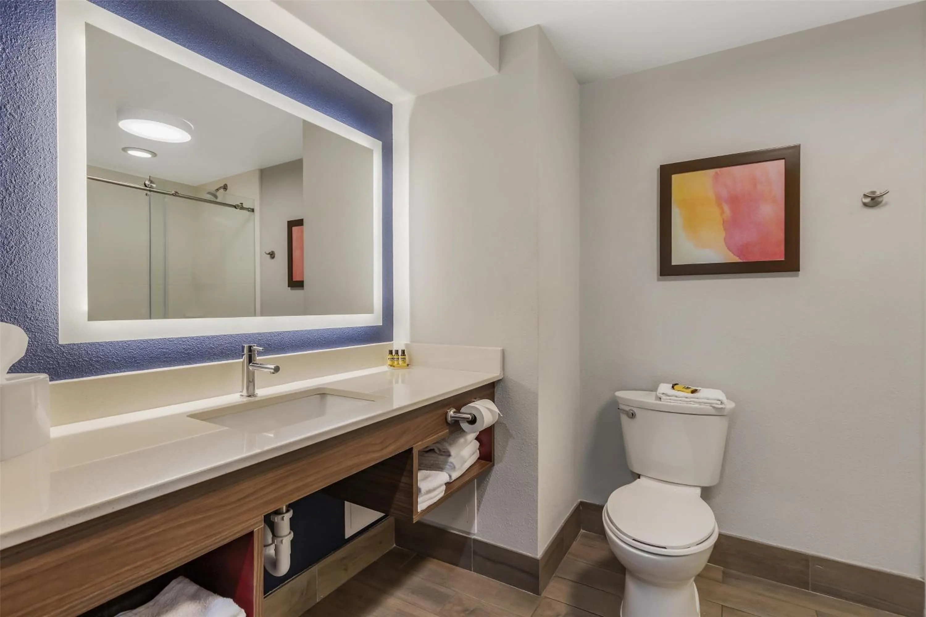 Bathroom in Best Western Plus Lexington Inn