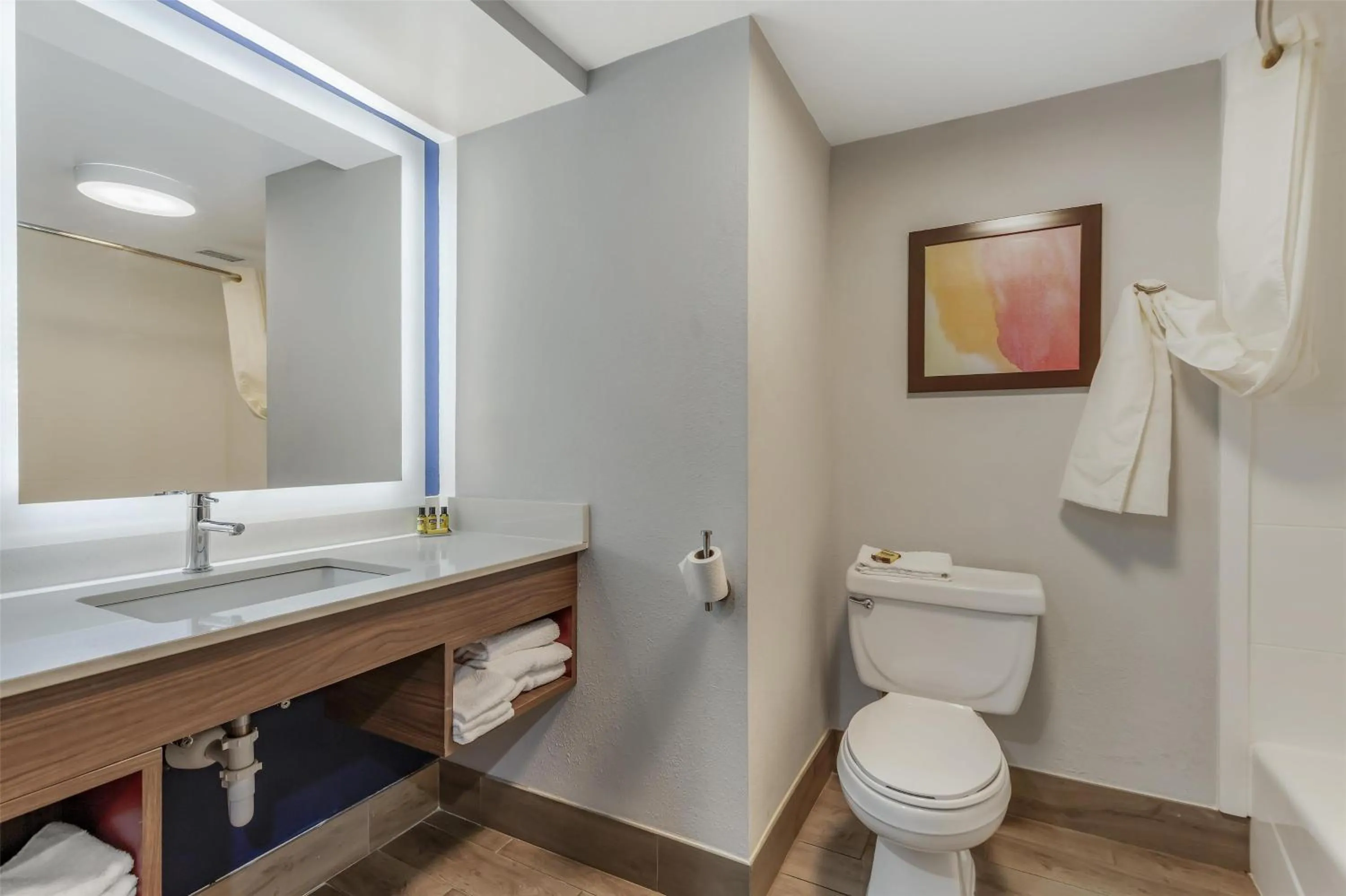 Bathroom in Best Western Plus Lexington Inn