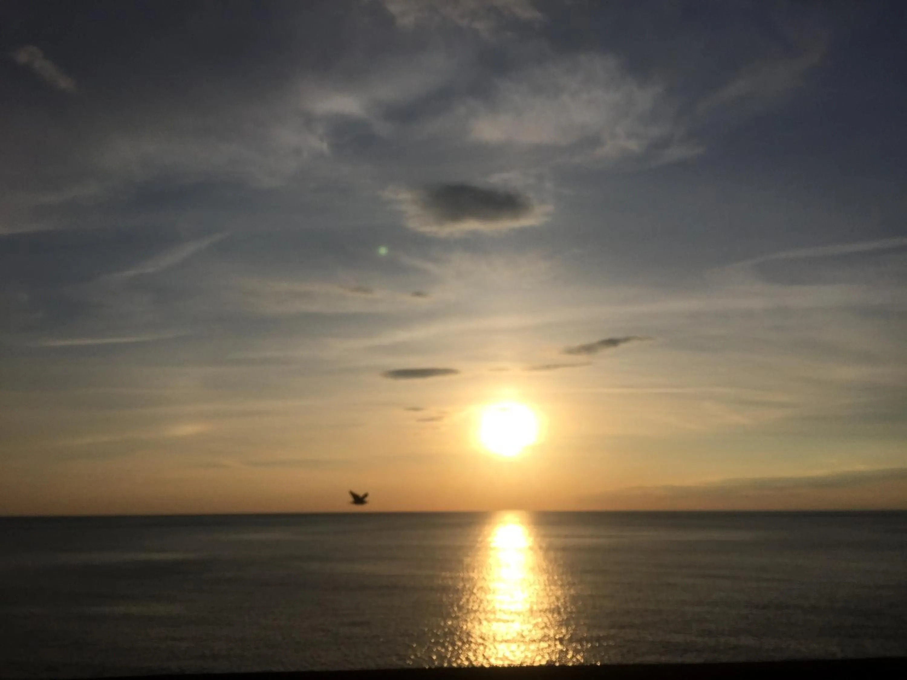 Vicolocorto Affittacamere