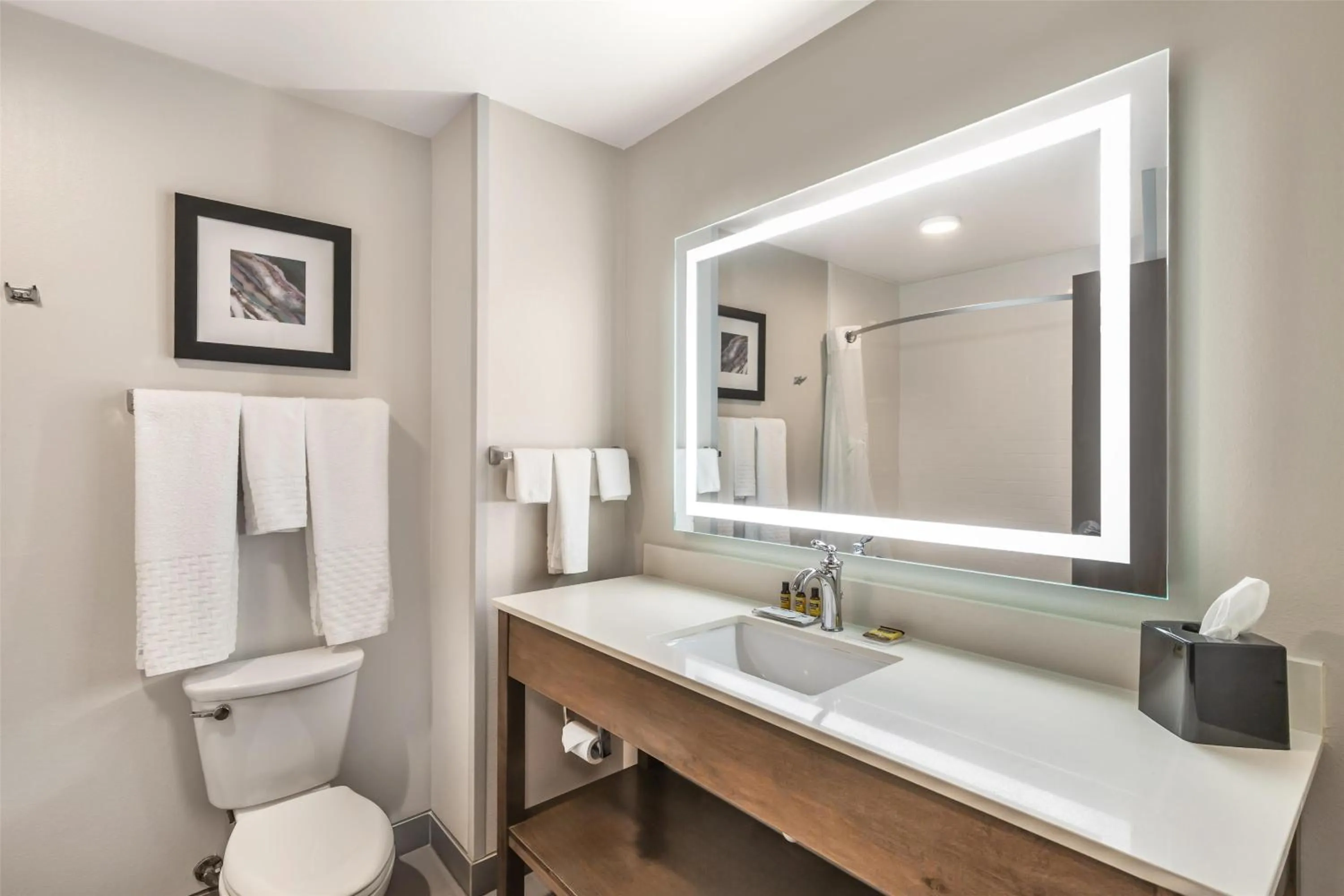 Bathroom in Best Western Plus Rapid City Rushmore