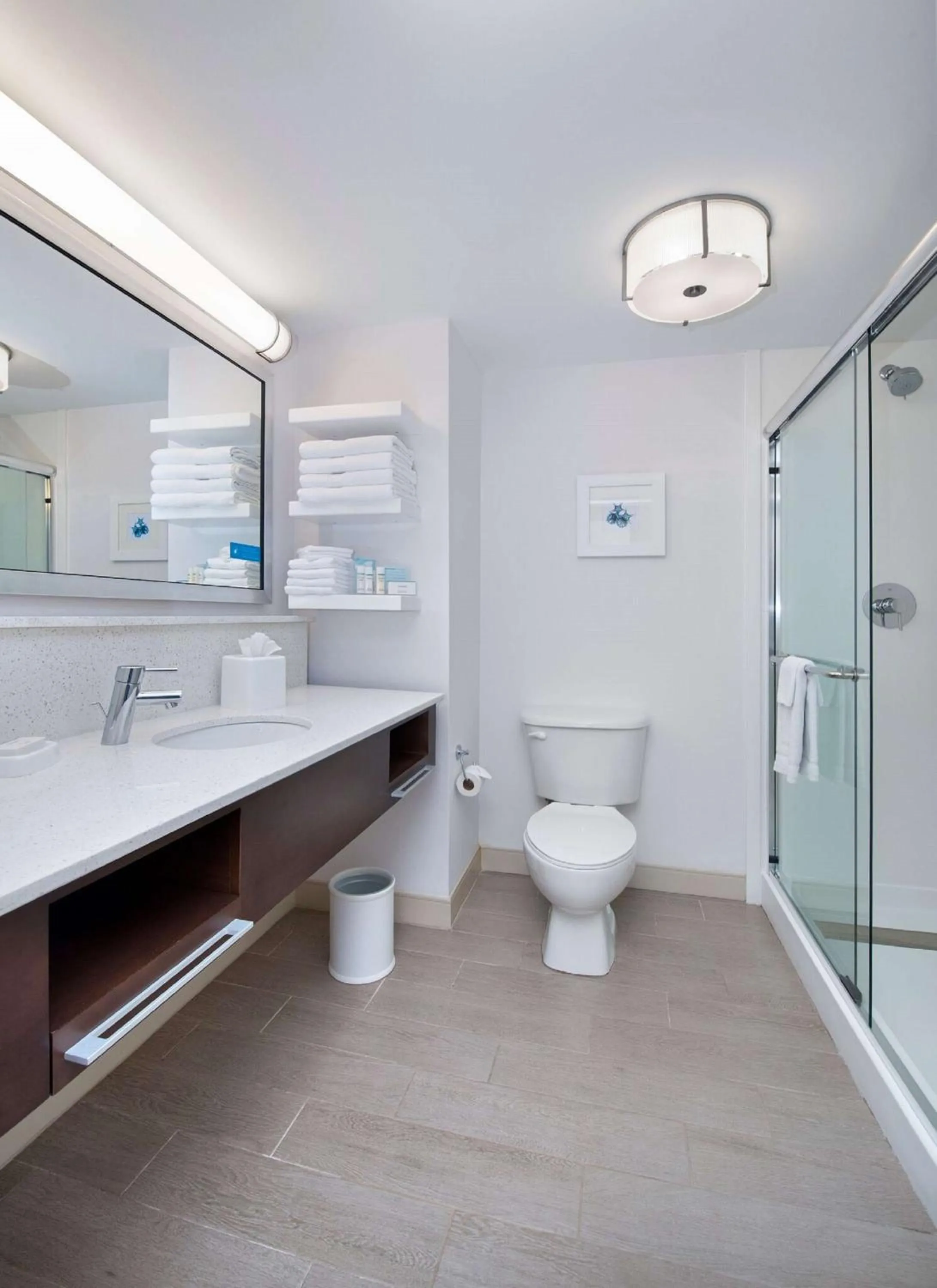 Bathroom in Hampton Inn Naples - I-75