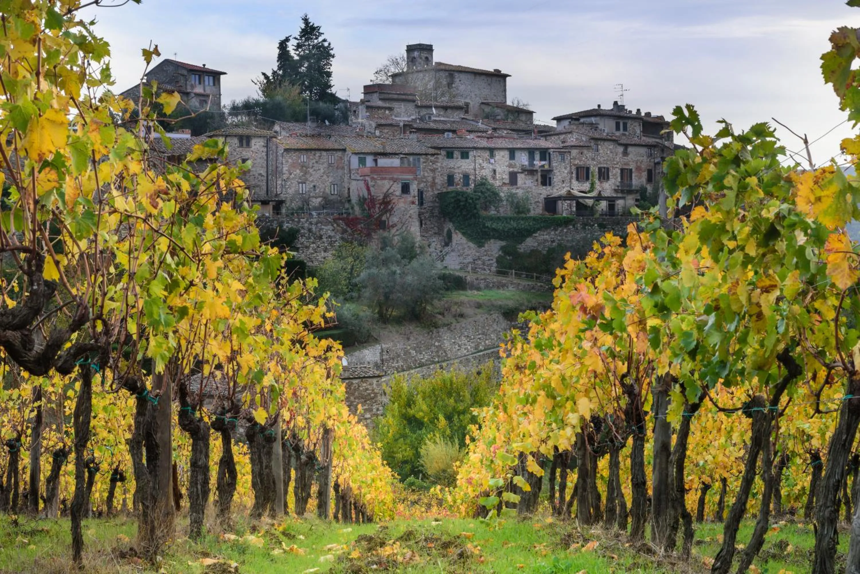 Natural landscape in Torre nel Chianti