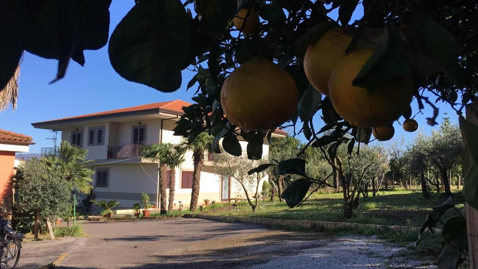 Property building in B & B Evergreen