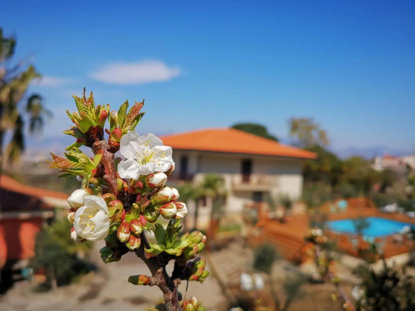 Property building in B & B Evergreen