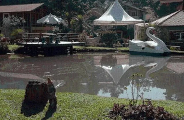 Day in Pousada Suarez