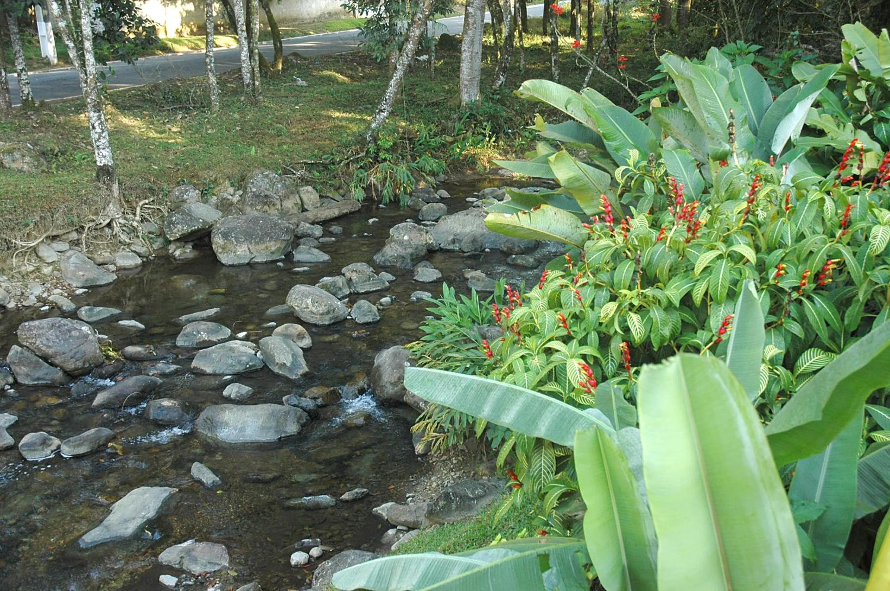 Day in Pousada Suarez