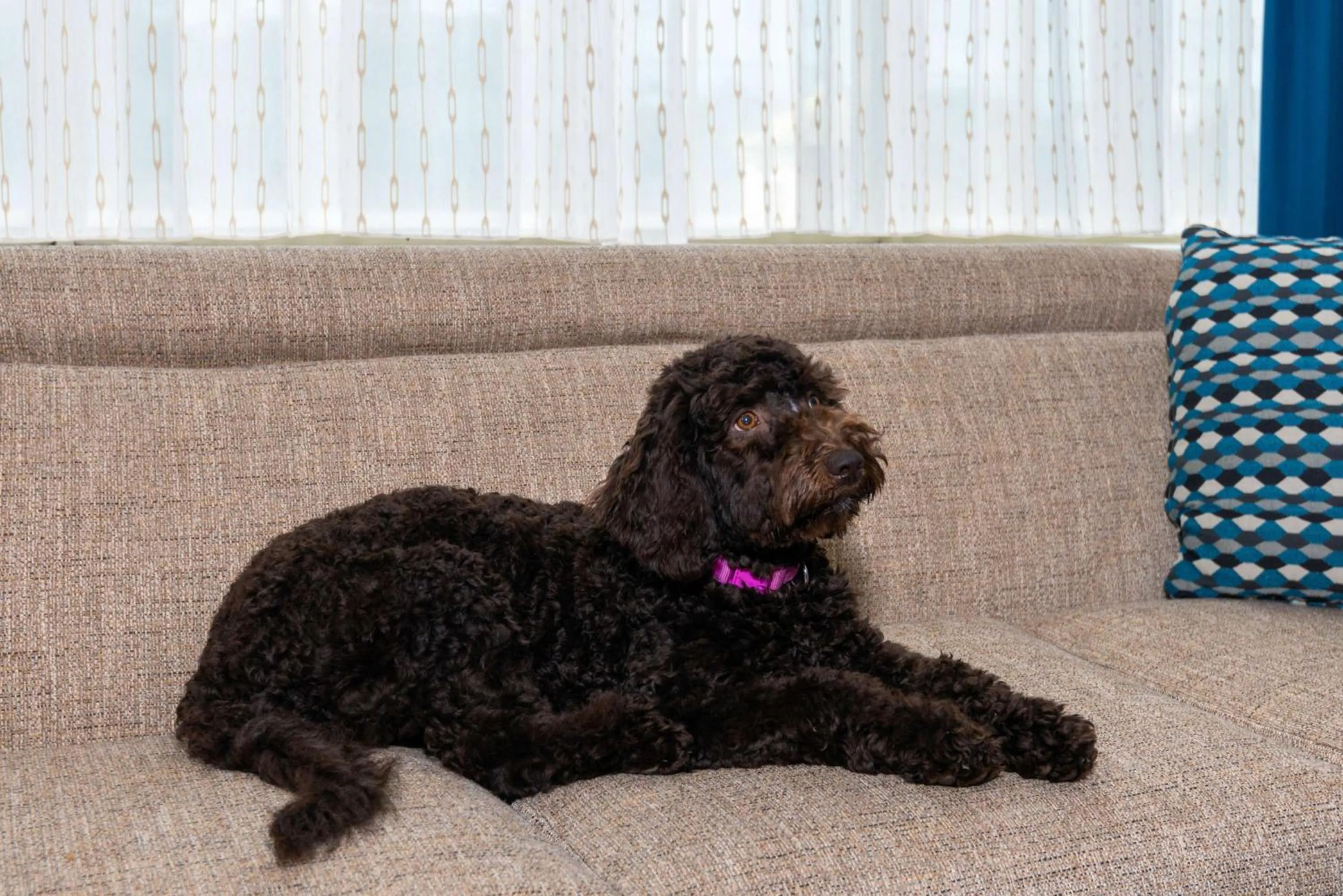 Other in Hampton Inn & Suites Buffalo/Downtown