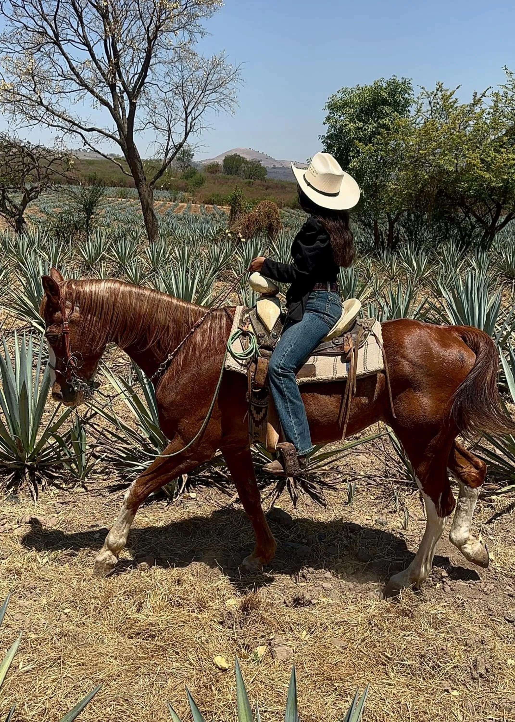 Activities in Matices Hotel de Barricas